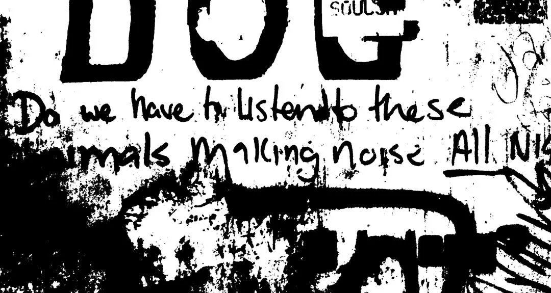 dog.jpg