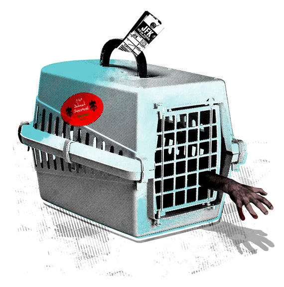 IMMIGRATION - PACIFIC STANDARD