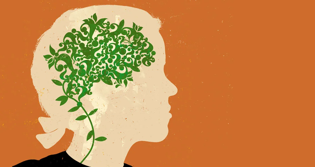 CAN YOU REGROW YOUR MEMORY - BALTIMORE SUN
