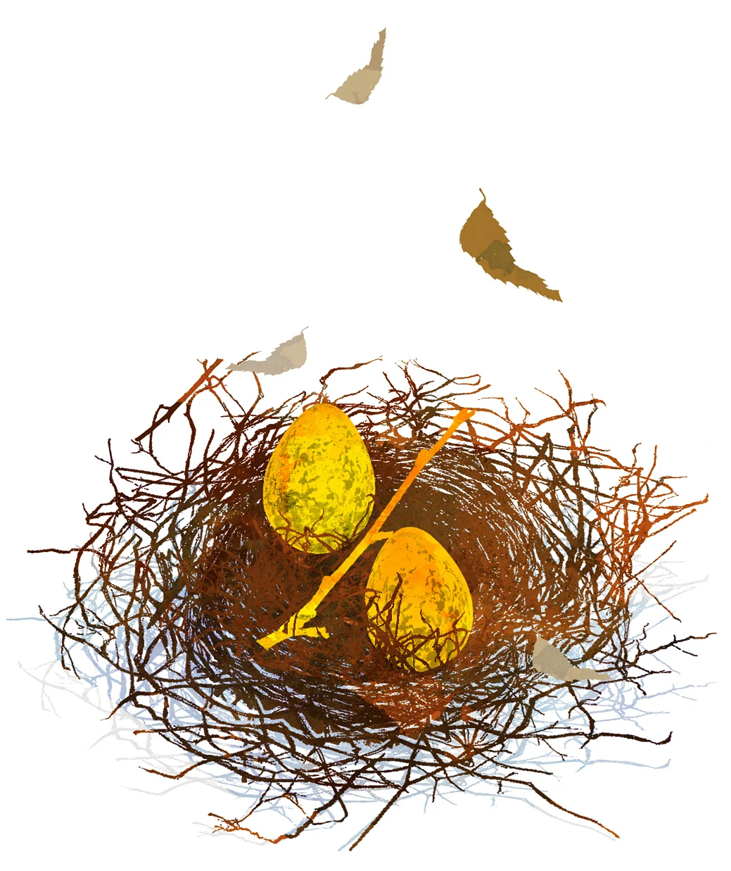 INVESTMENT PERFORMANCE - SAGA MAGAZINE