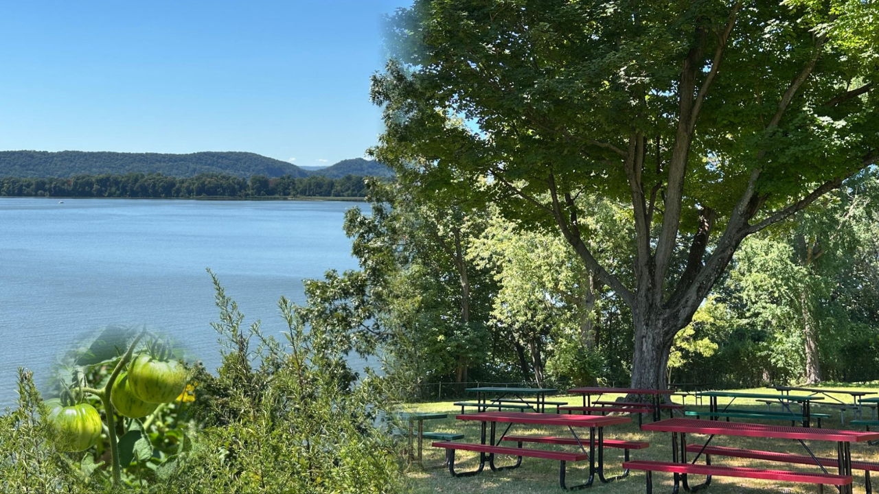 YOUTUBE THUMBNAILS - 1.png