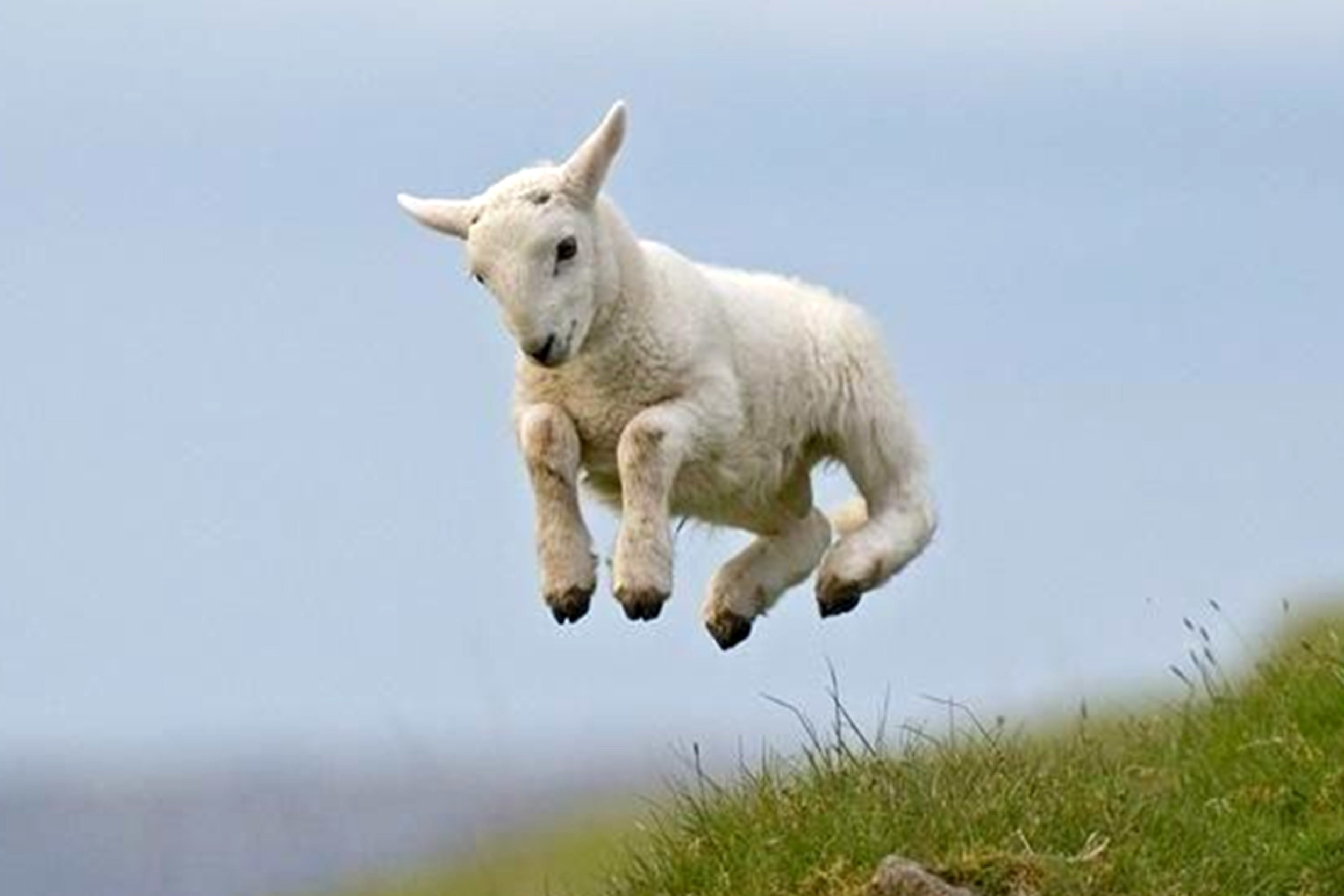 Spring Bank Holiday