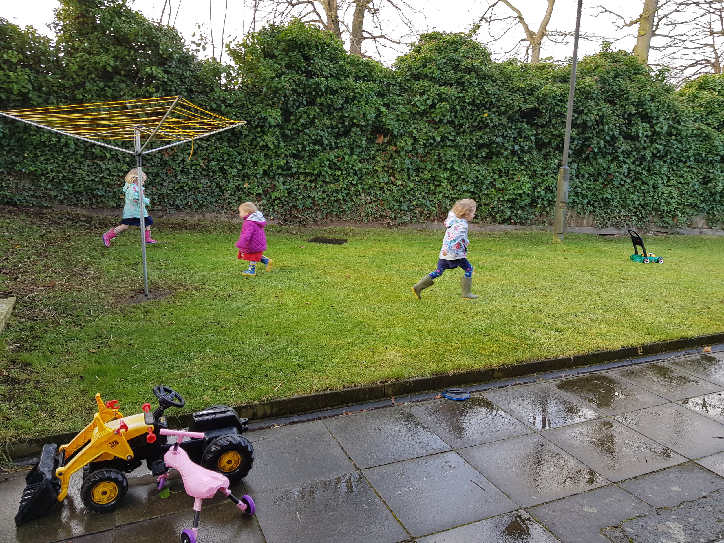 Tommy and her family doing their laps in the garden