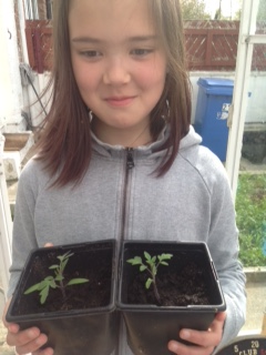 Look what Mara, Shion and their family have been planting