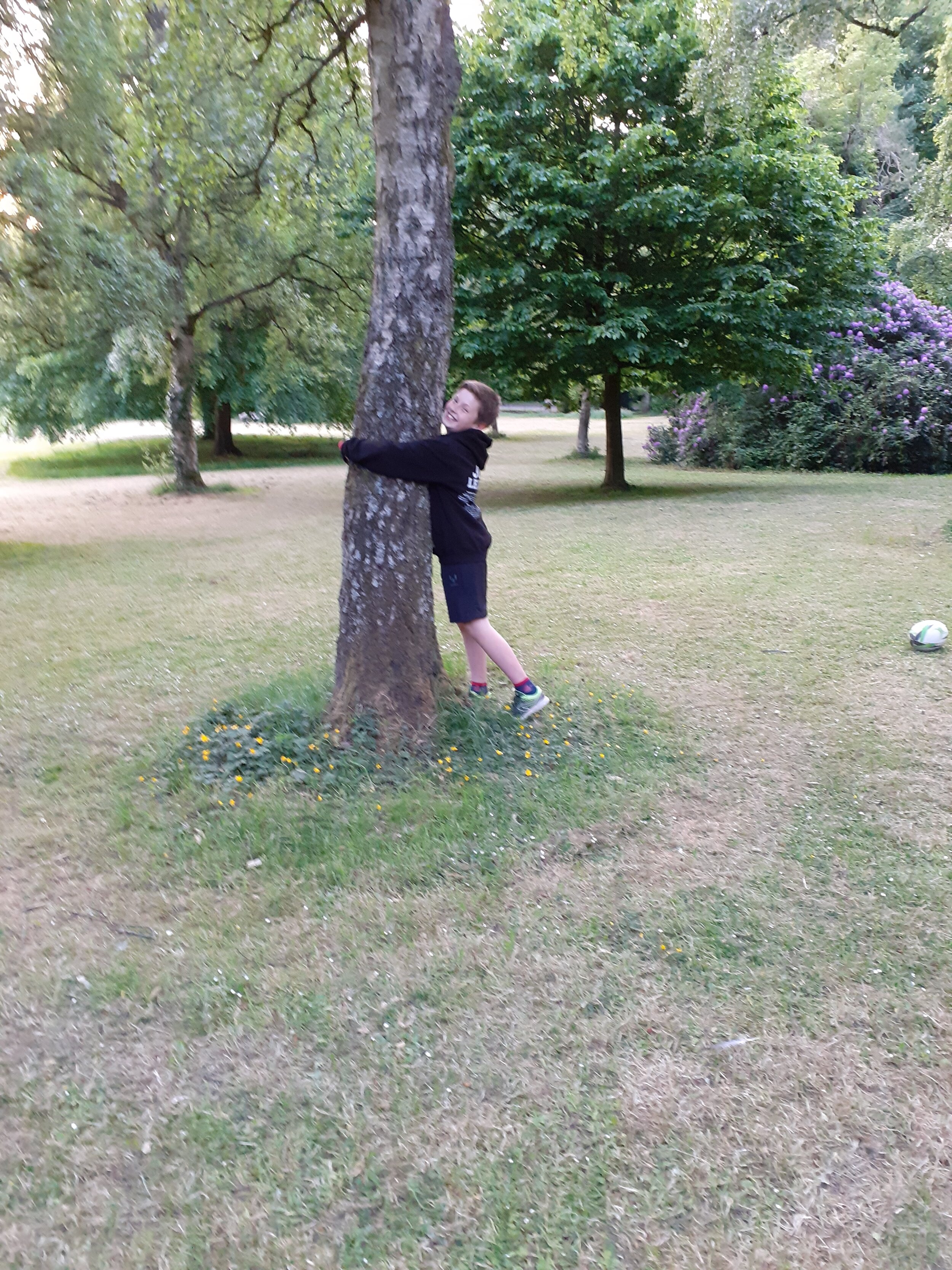 Joshua hugs a tree!