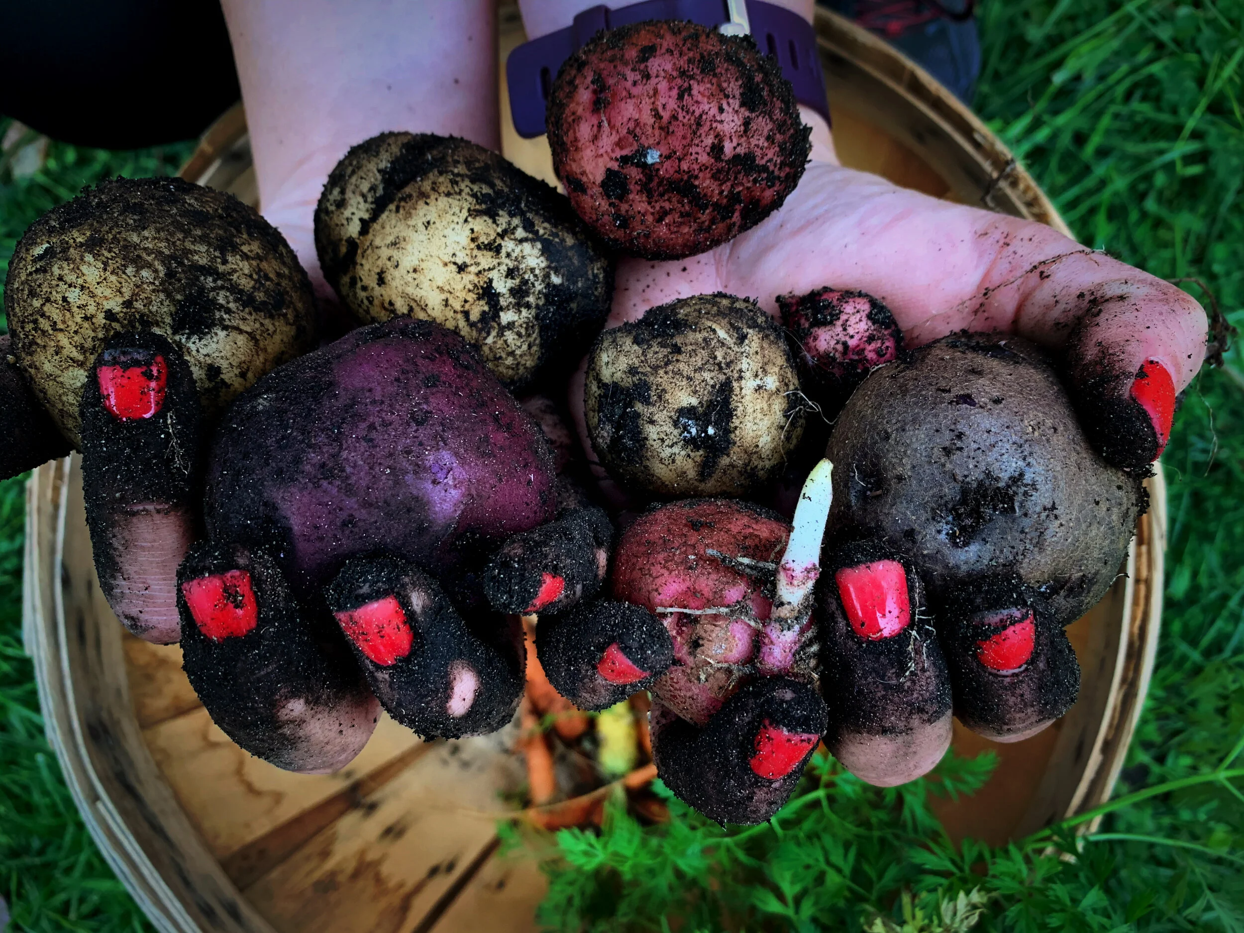 AfterlightImage 7.JPG