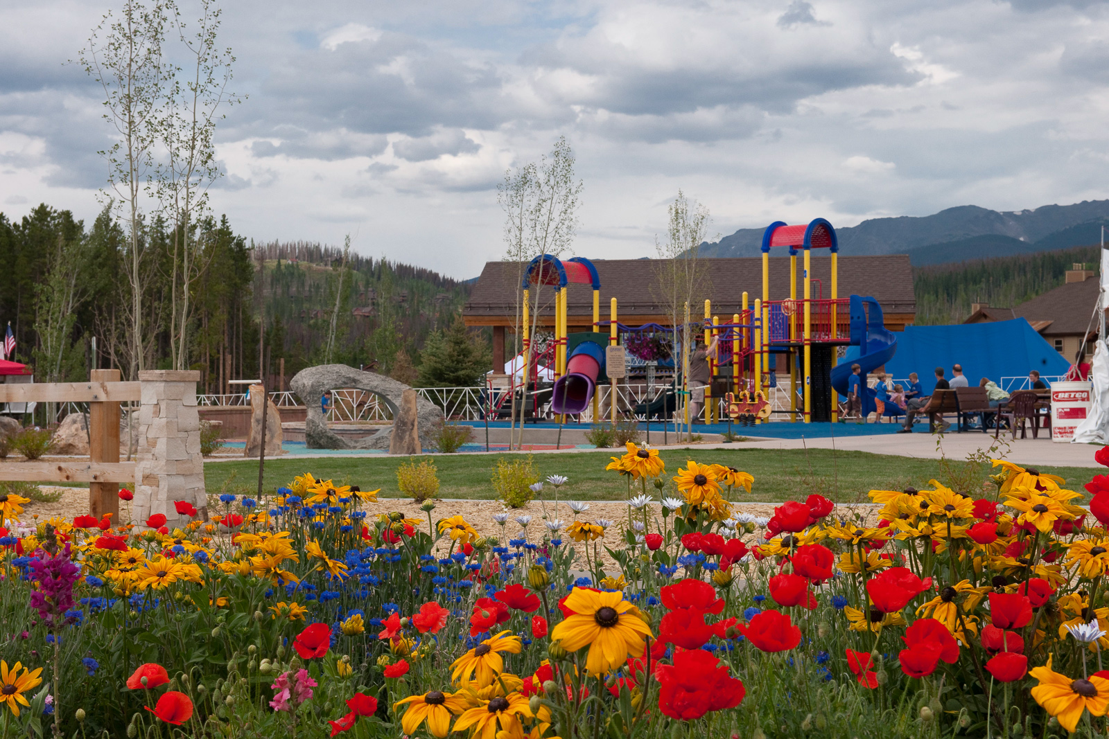 Flowers and playground