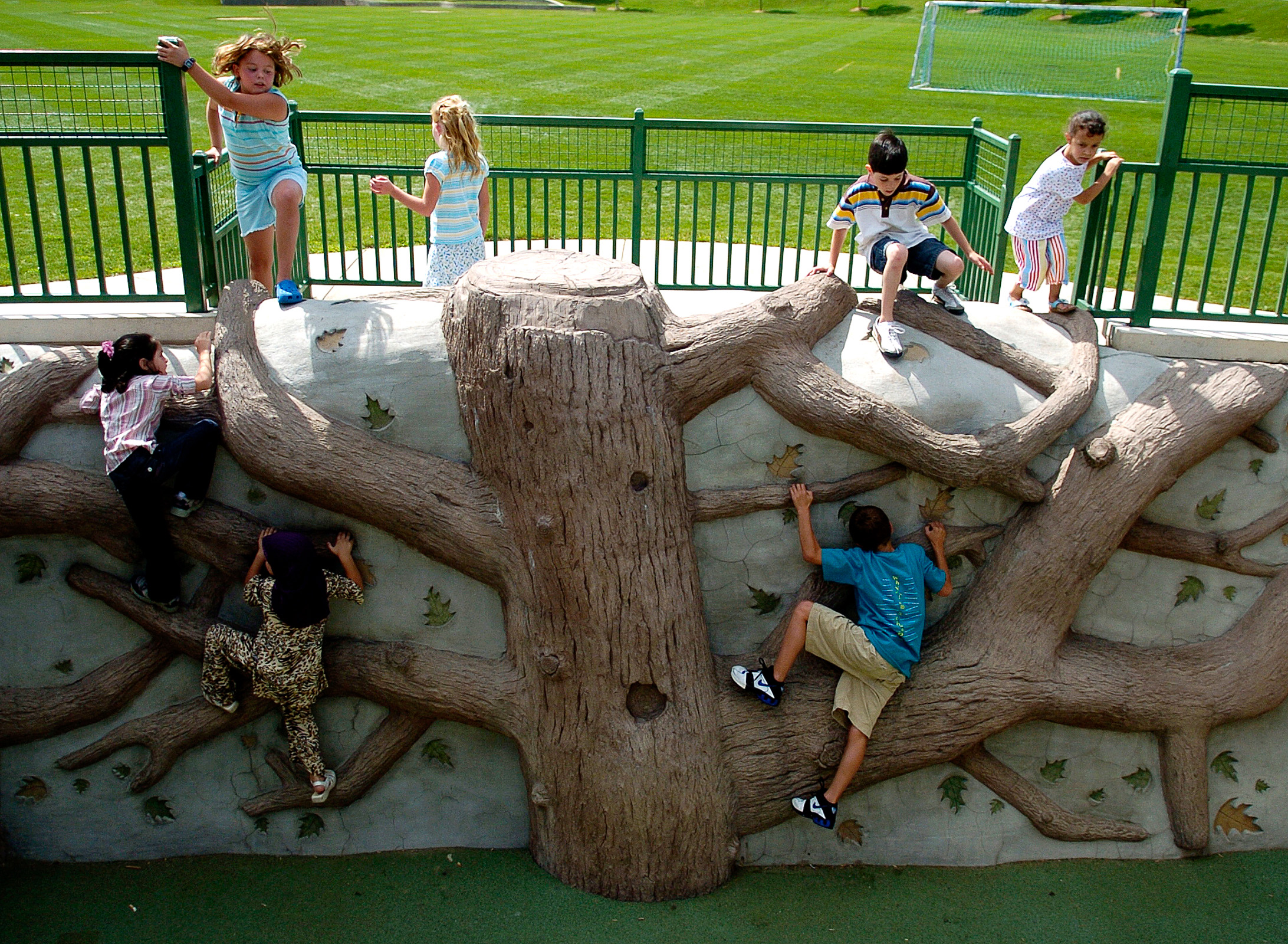 Tree Wall-climbers.jpg