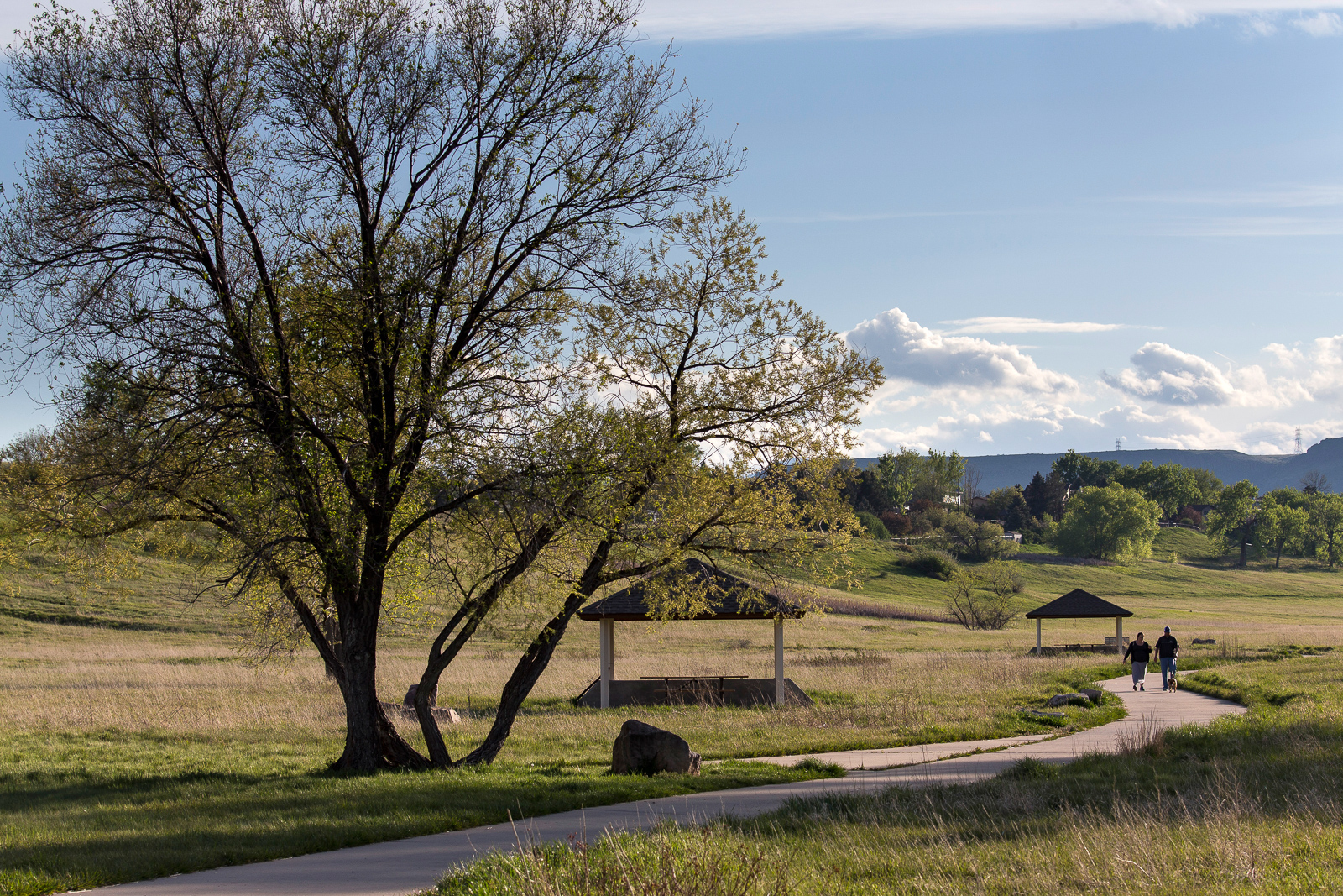 Van Bibber Open Landscape Architecture | Design Concepts