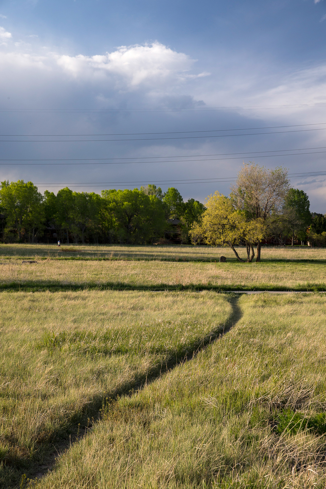 Van_Bibber_Creek_Open_Space_201405_29.jpg