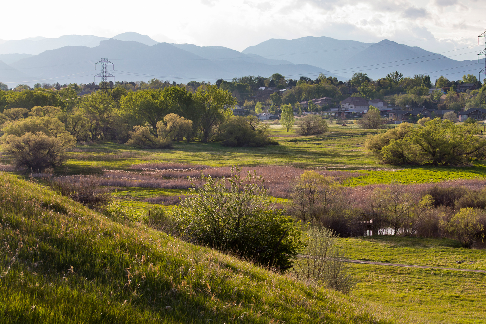 Van_Bibber_Creek_Open_Space_201405_50.jpg