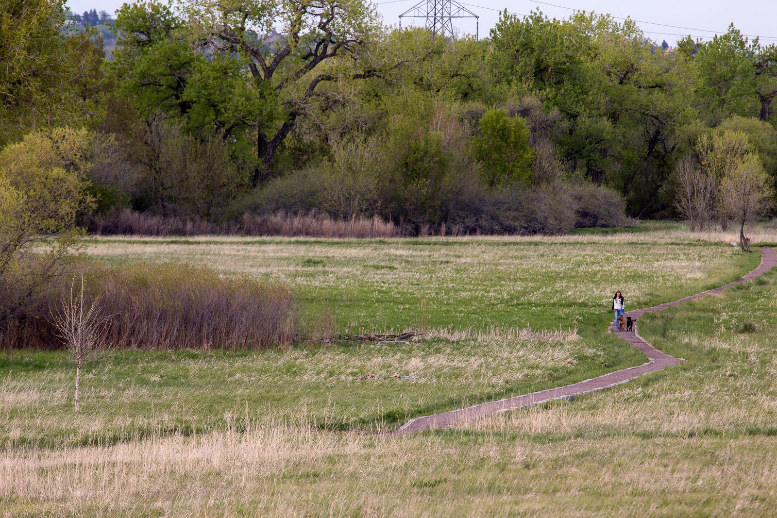 Van_Bibber_Creek_Open_Space_201405_99.jpg