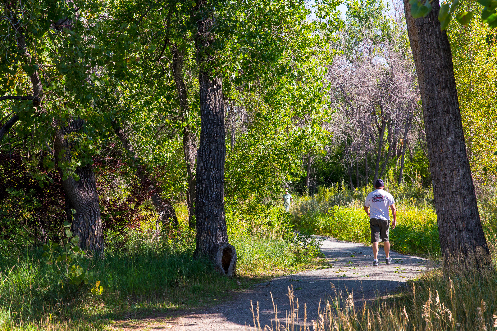 Jewell_Wetlands_Park_201409_35.jpg