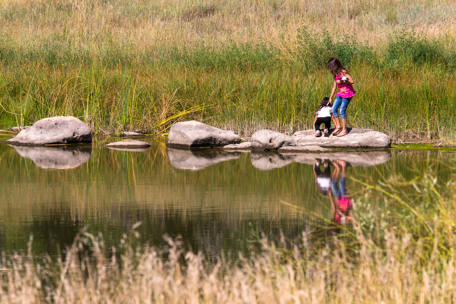 Jewell_Wetlands_Park_201409_48.jpg