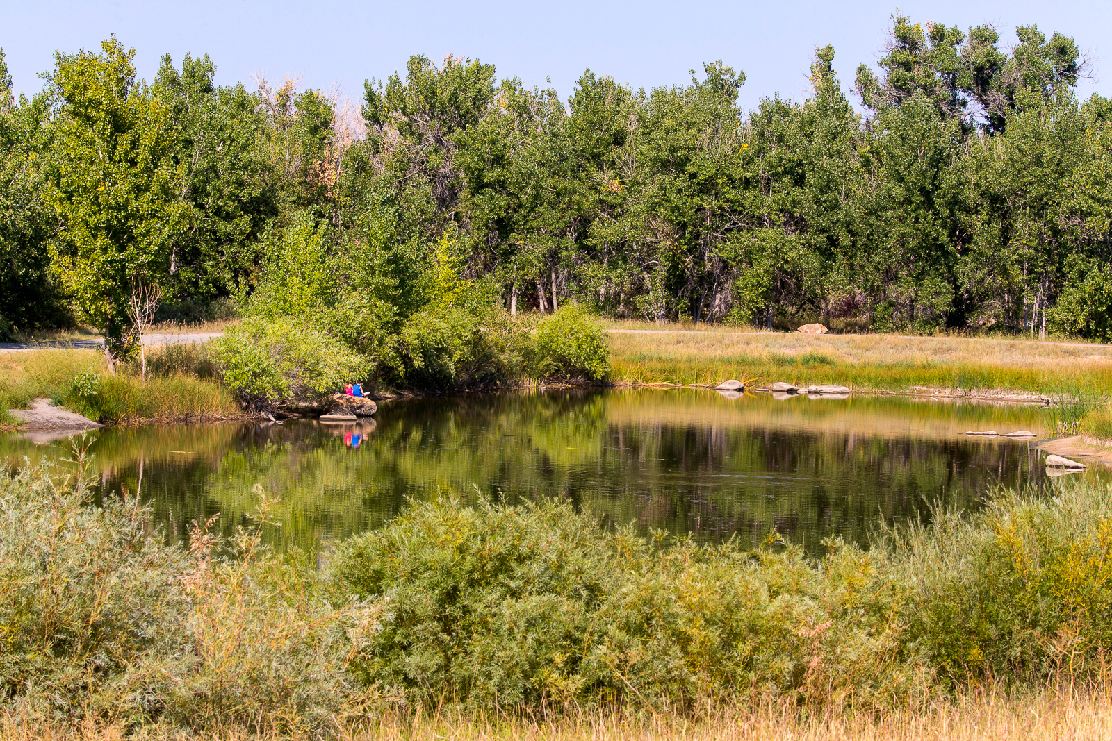 Jewell_Wetlands_Park_201409_62.jpg