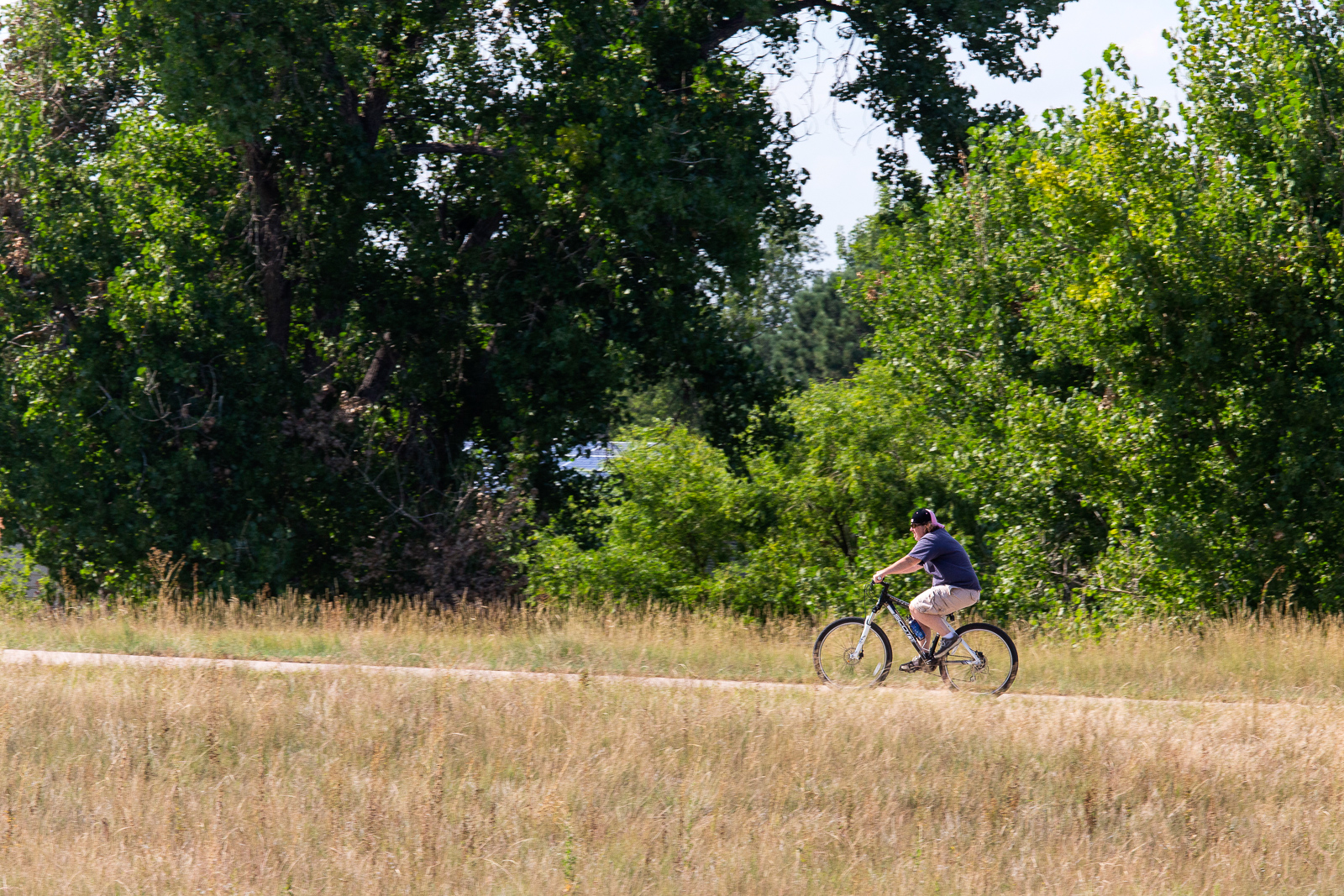 Jewell_Wetlands_Park_201409_65.jpg