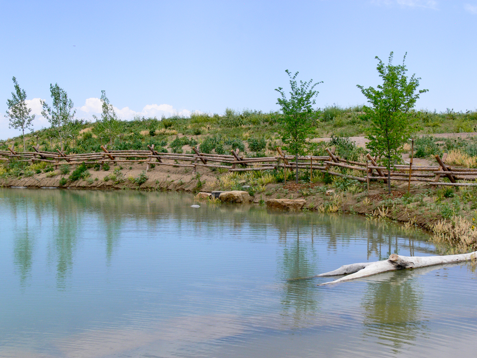 Arapahoe County Fairgrounds Park Nature Play