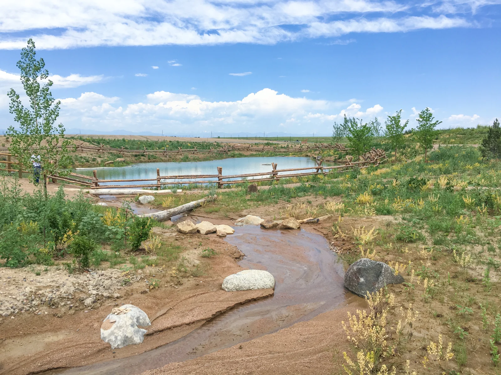 Arapahoe County Fairgrounds + Regional ParkColorado Landscape