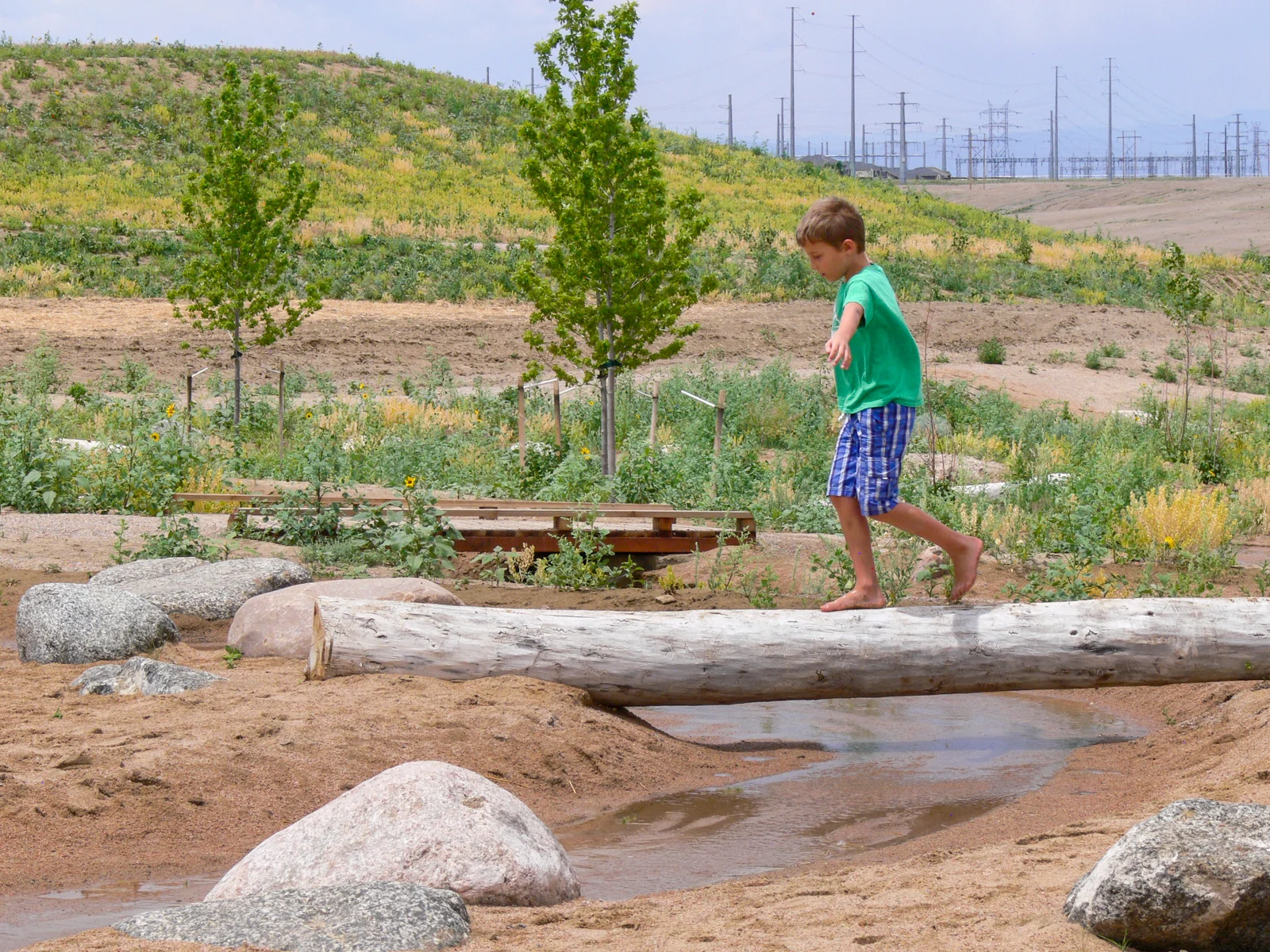 Arapahoe County Fairgrounds + Regional ParkColorado Landscape