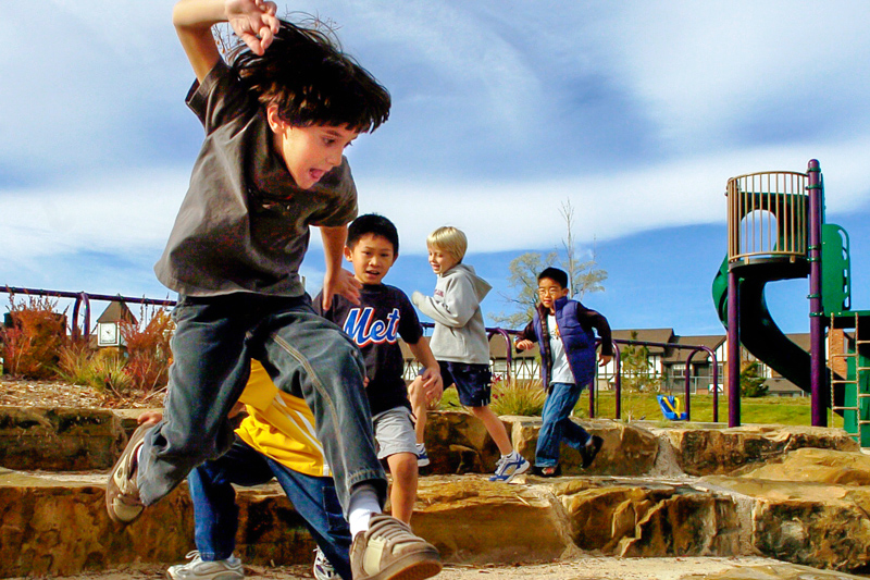 Learning Landscapes | Denver Public Schools