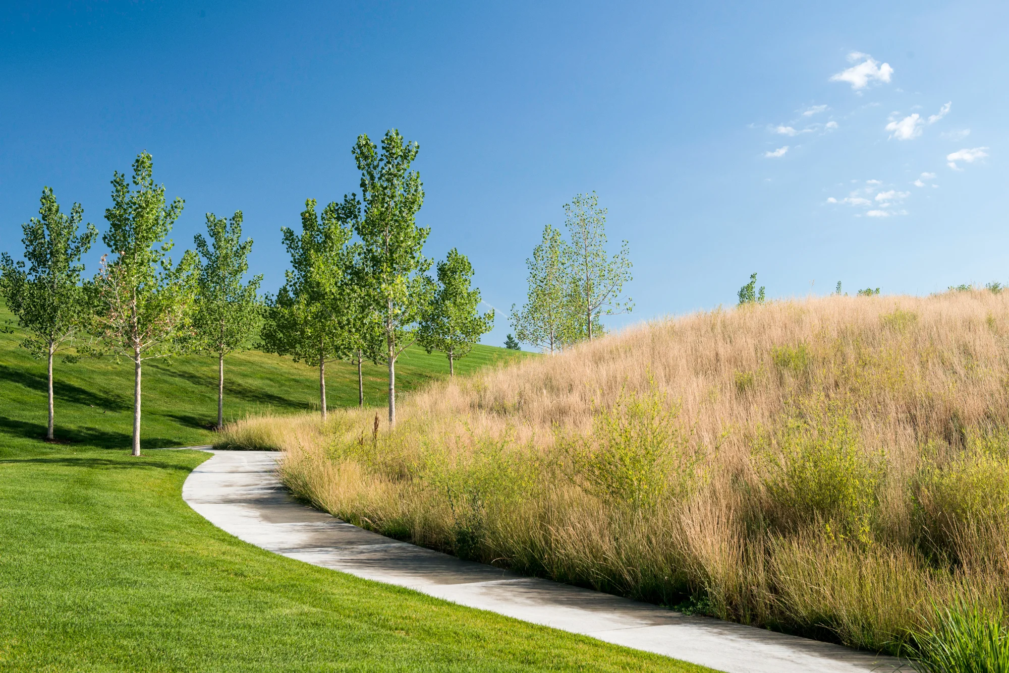 Elk Ridge Park Best Parks In Denver AreaColorado Landscape Architecture Firm Design Concepts