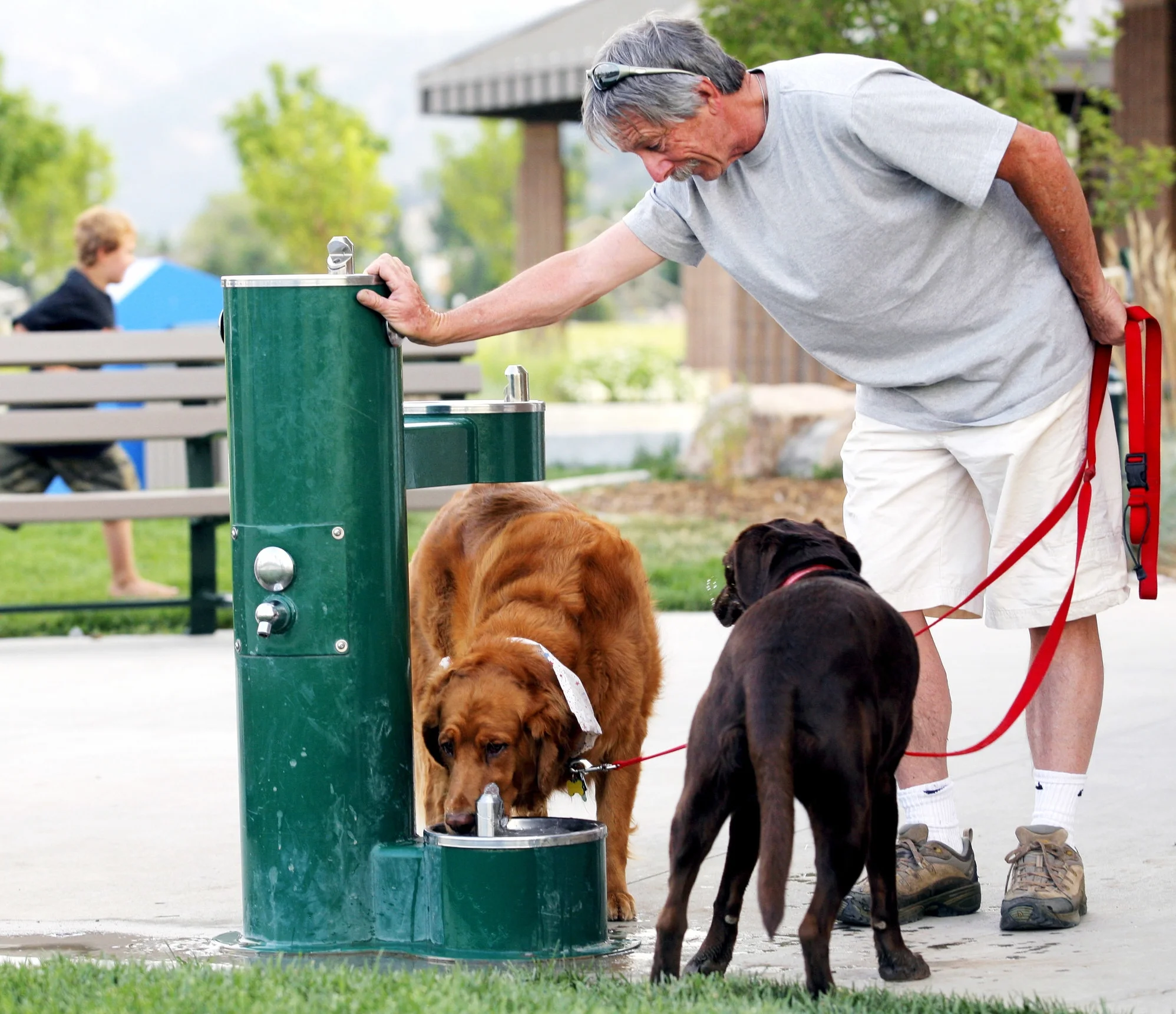 Foothills-Park-Dog.jpg