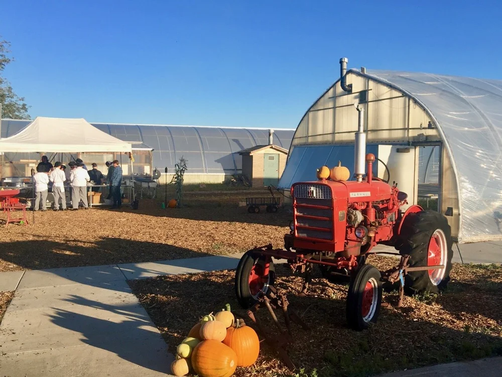  Looking at the farm site with a tractor in the foreground and greenhouse in the background 