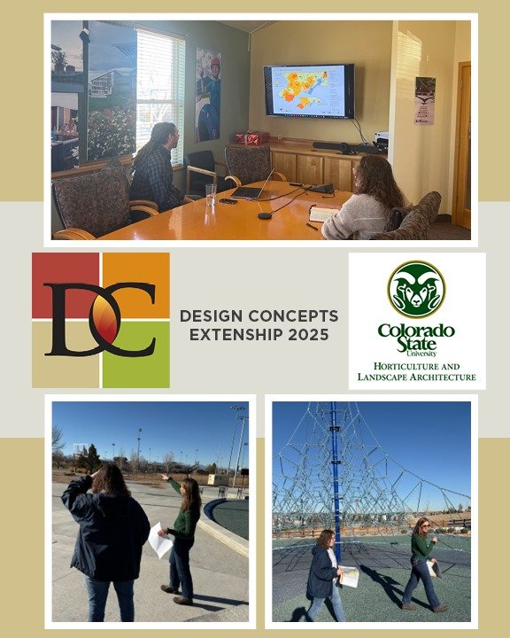 Another fantastic CSU externship in the books! 🎉🌿 This time, we had the pleasure of hosting Chloe (@chloboyd), who fully immersed herself in everything from design tasks to the behind-the-scenes process of how projects come to life.

Throughout the