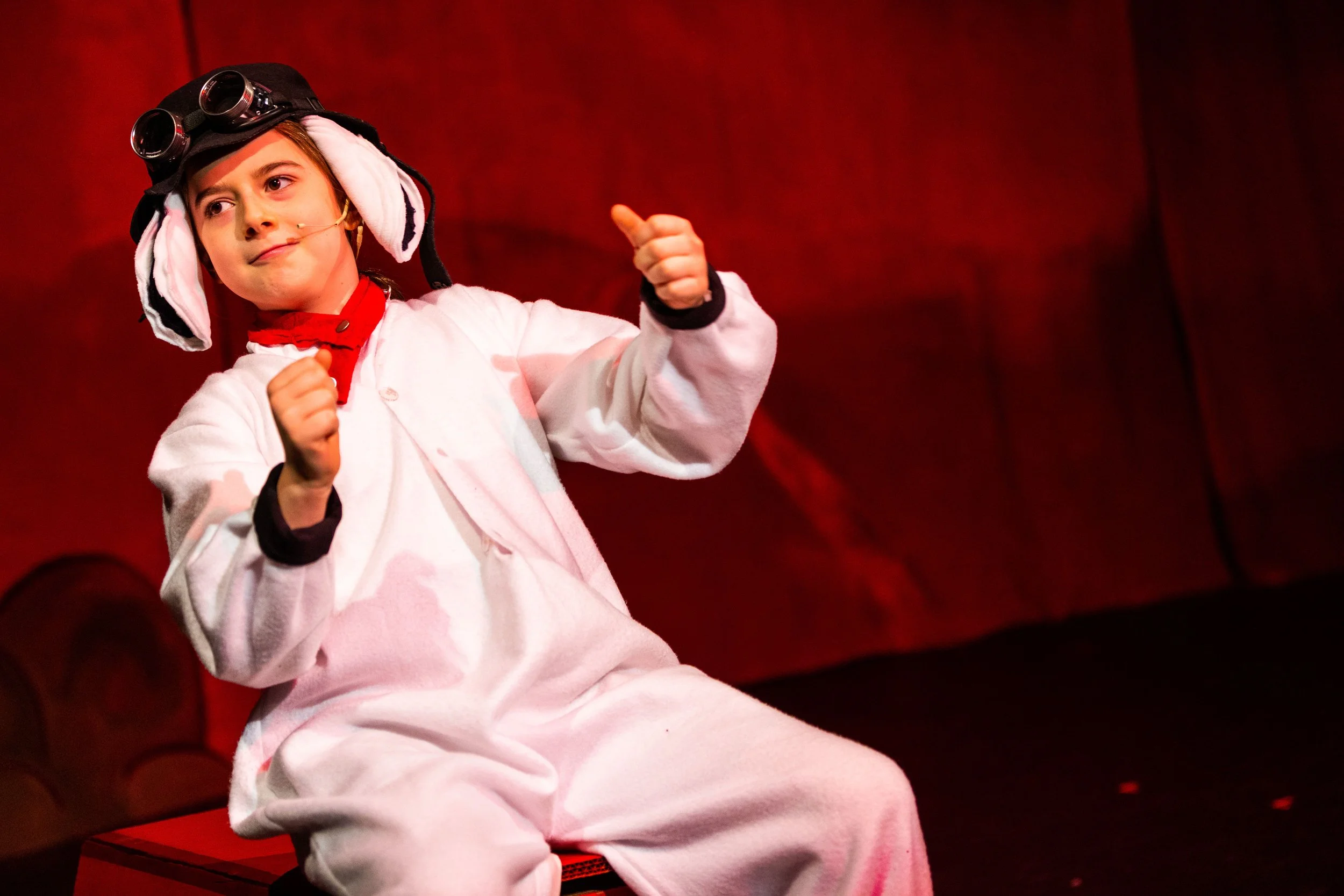 charlie brown snoopy red baron.jpg