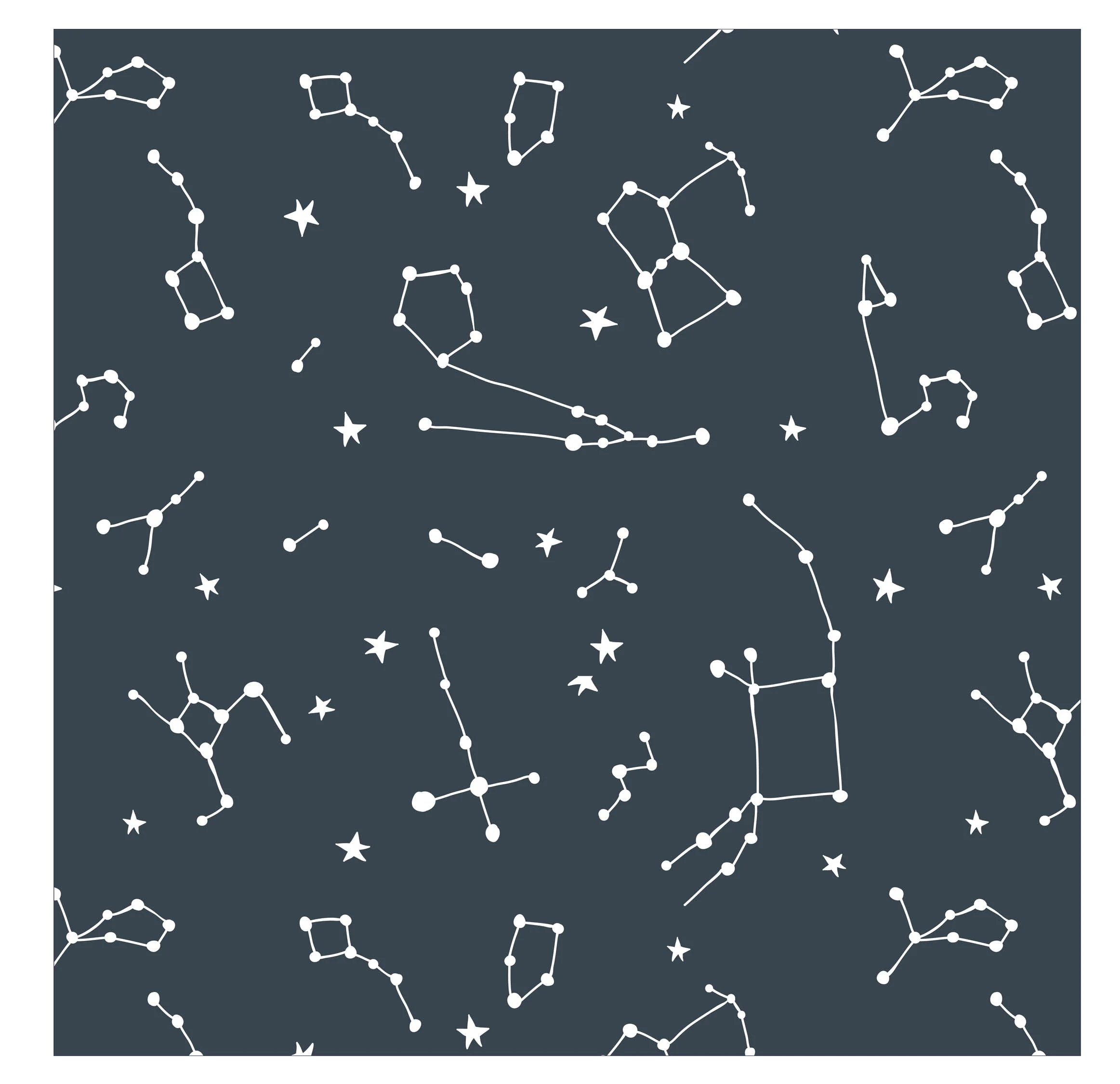 CONSTELLATION SHOWER CURTAIN