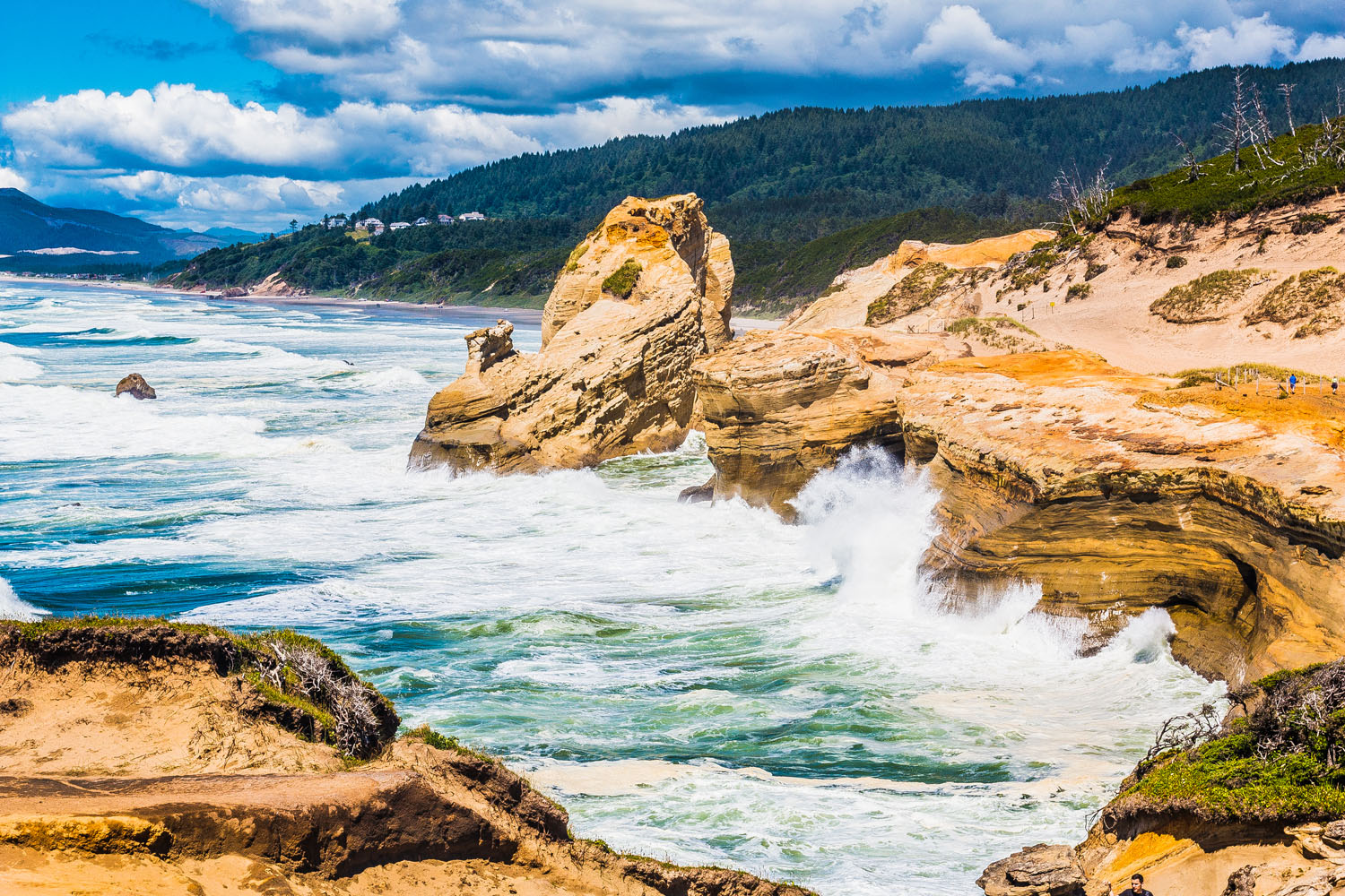 Cape-Kiwanda-178.jpg