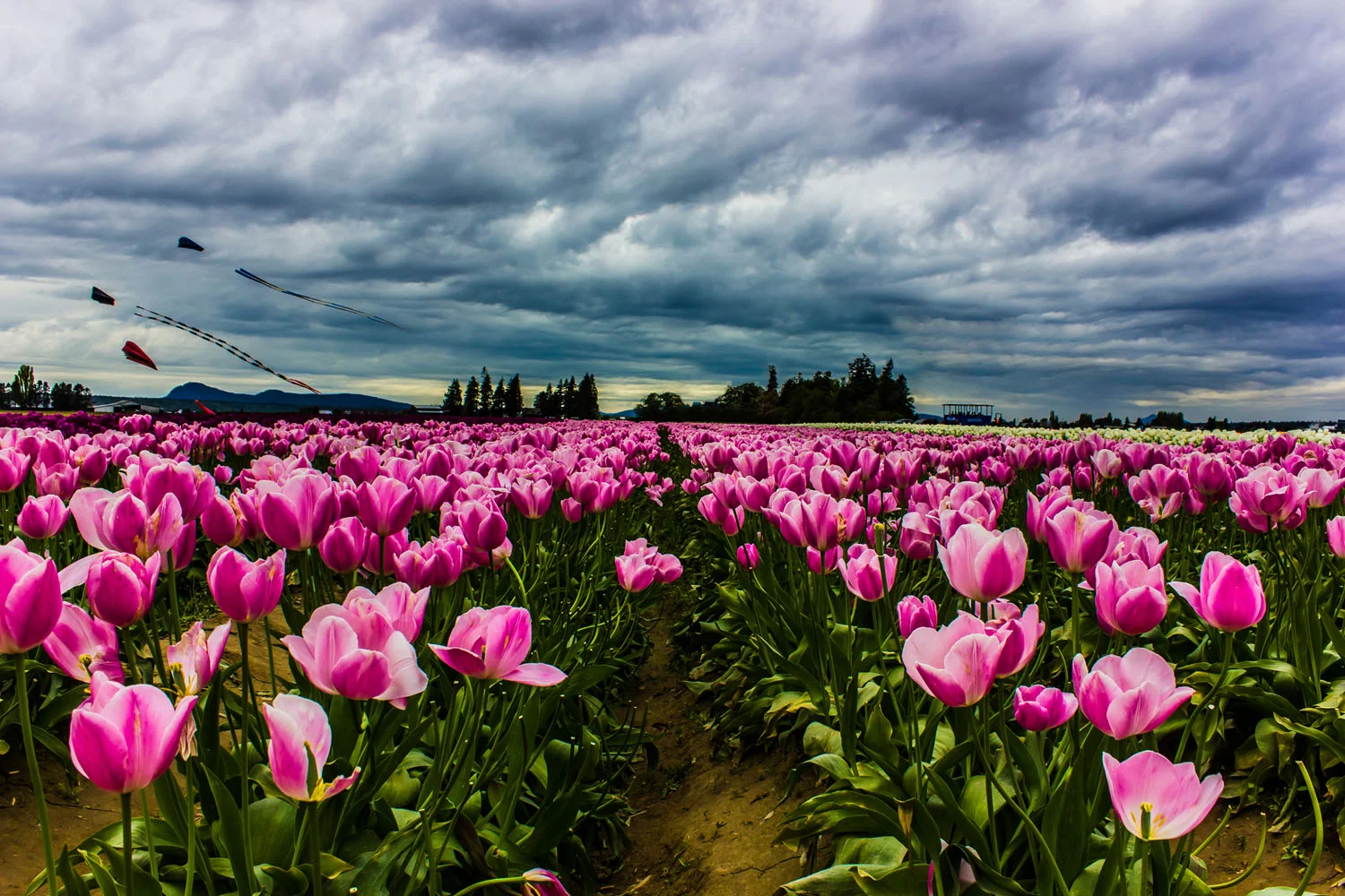 IMG_7569-Final Edit.jpg