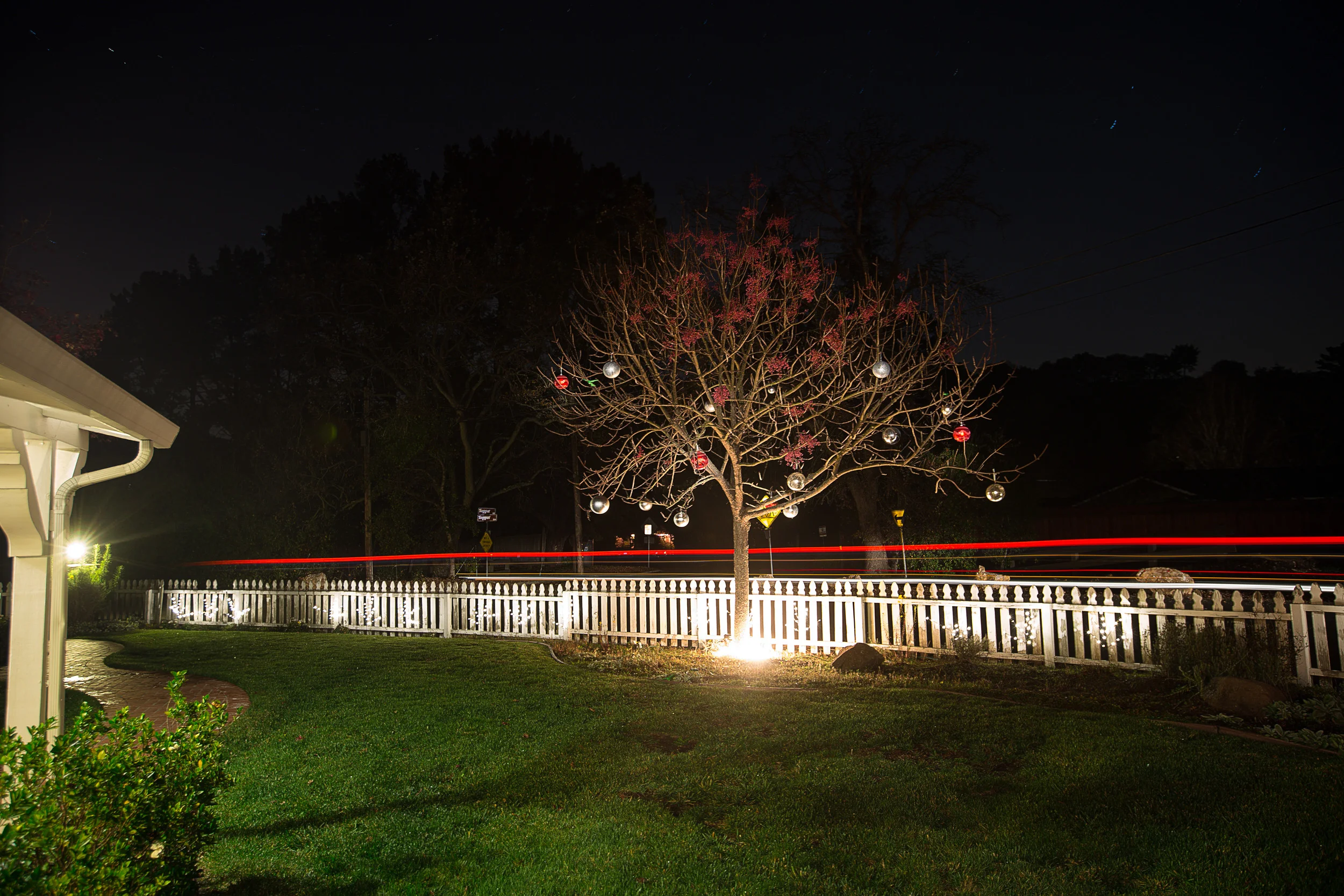 00001_20141207184350_San_Francisco_Wedding_Photographer_Sees_The_Day.jpg