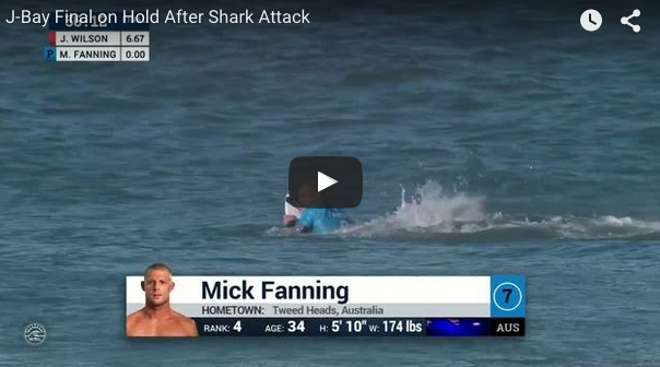 Mick Fanning fights off shark in surf comp by punching it in the back