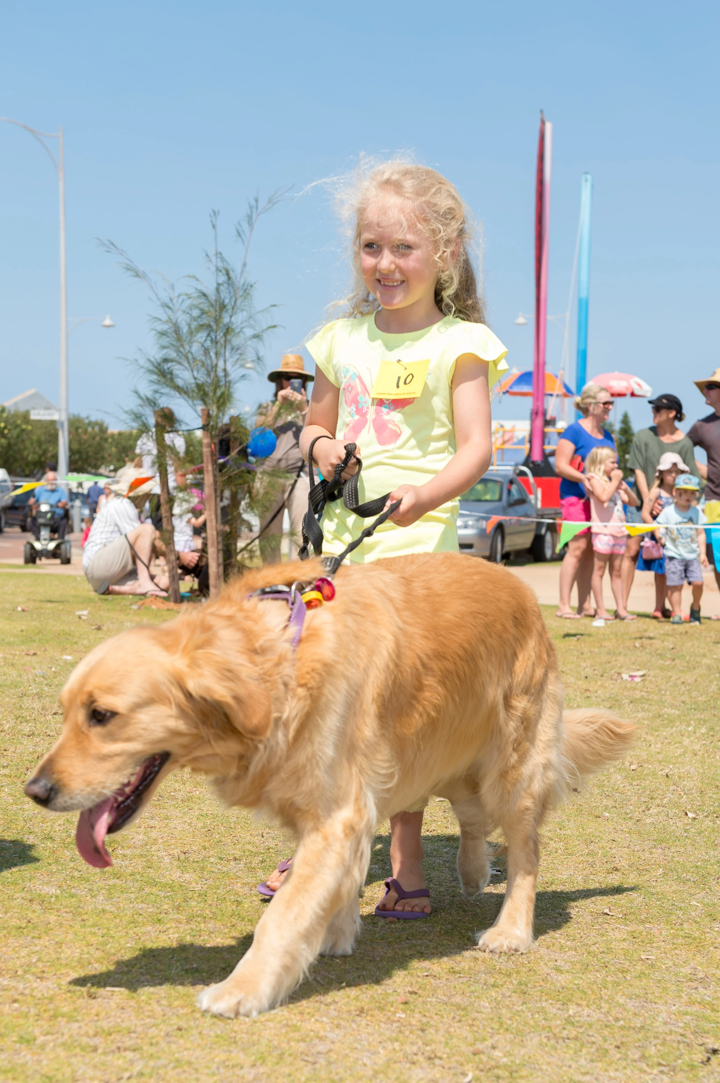 Olympics for Dogs / Geraldton District Kennel Club & Fusions Gelato Café