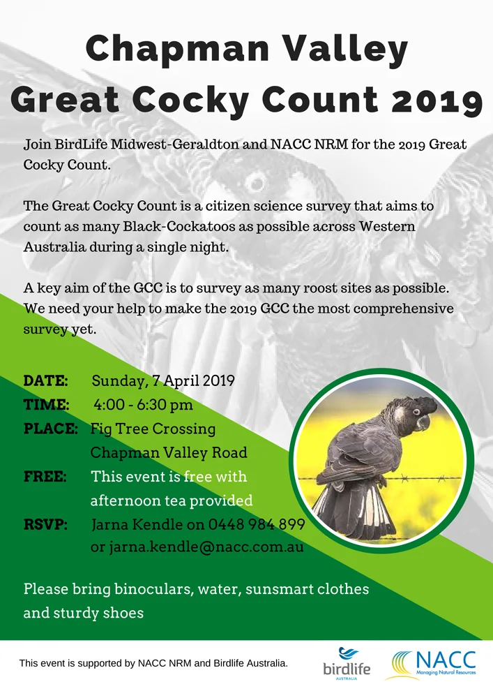 Great-Cocky-Count-2019.jpg