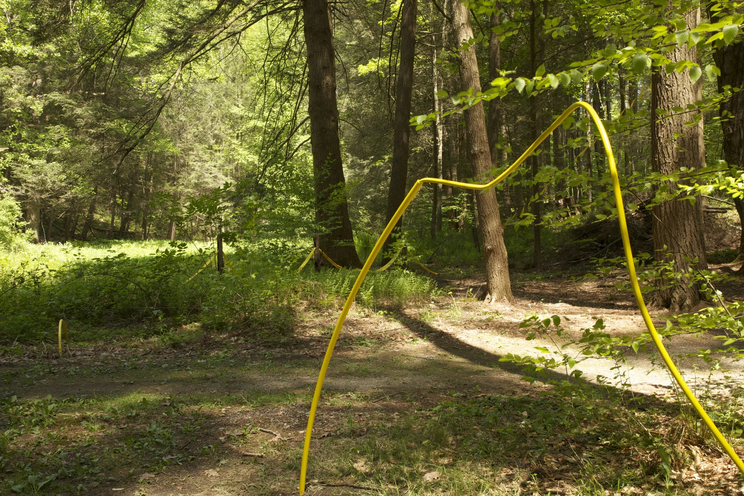 Threading Yellow by Laura Evans, #5 on the walking map