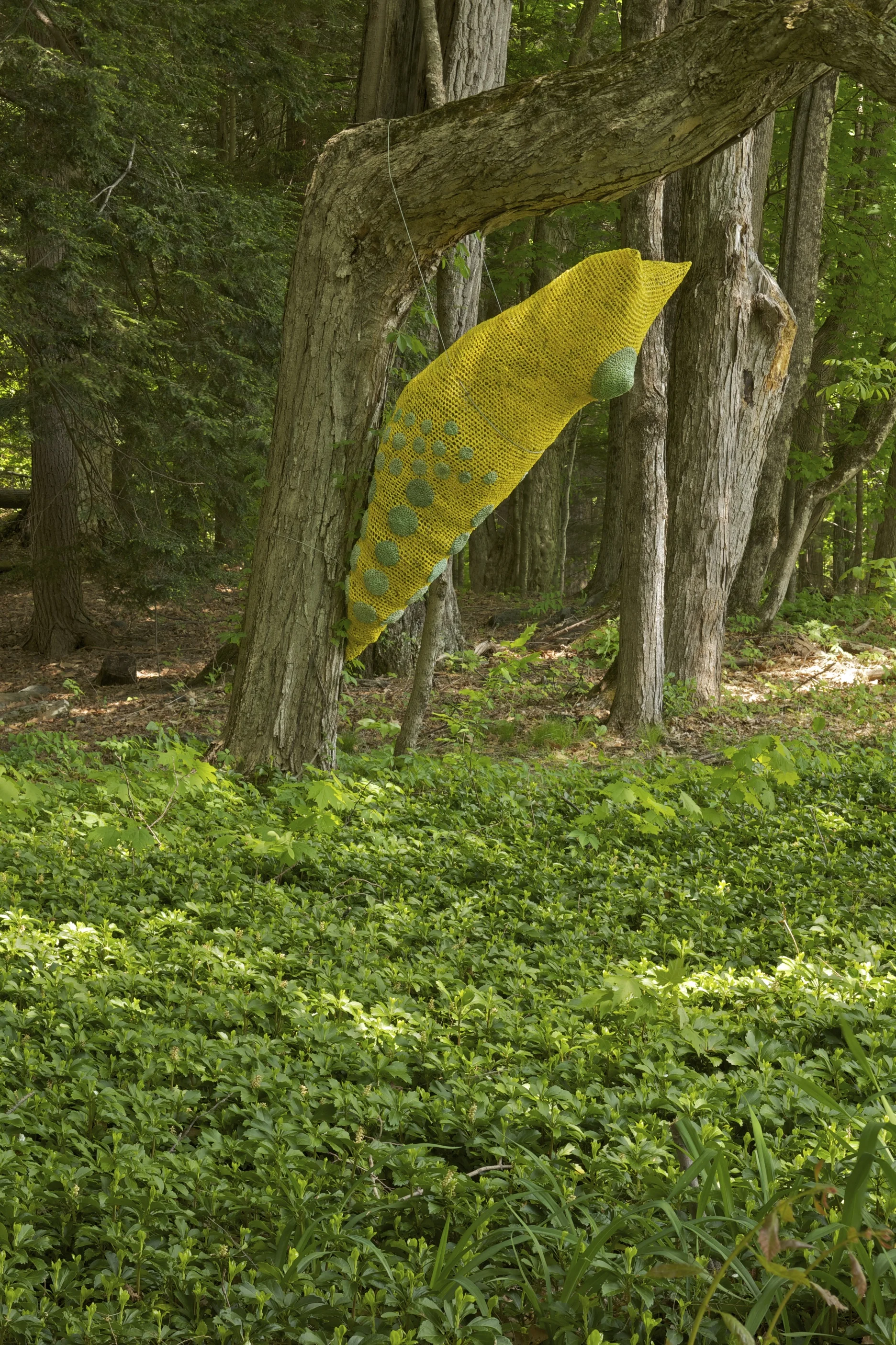 Swallowtail Chrysalis by Michelle Lougee, #9 on the walking map