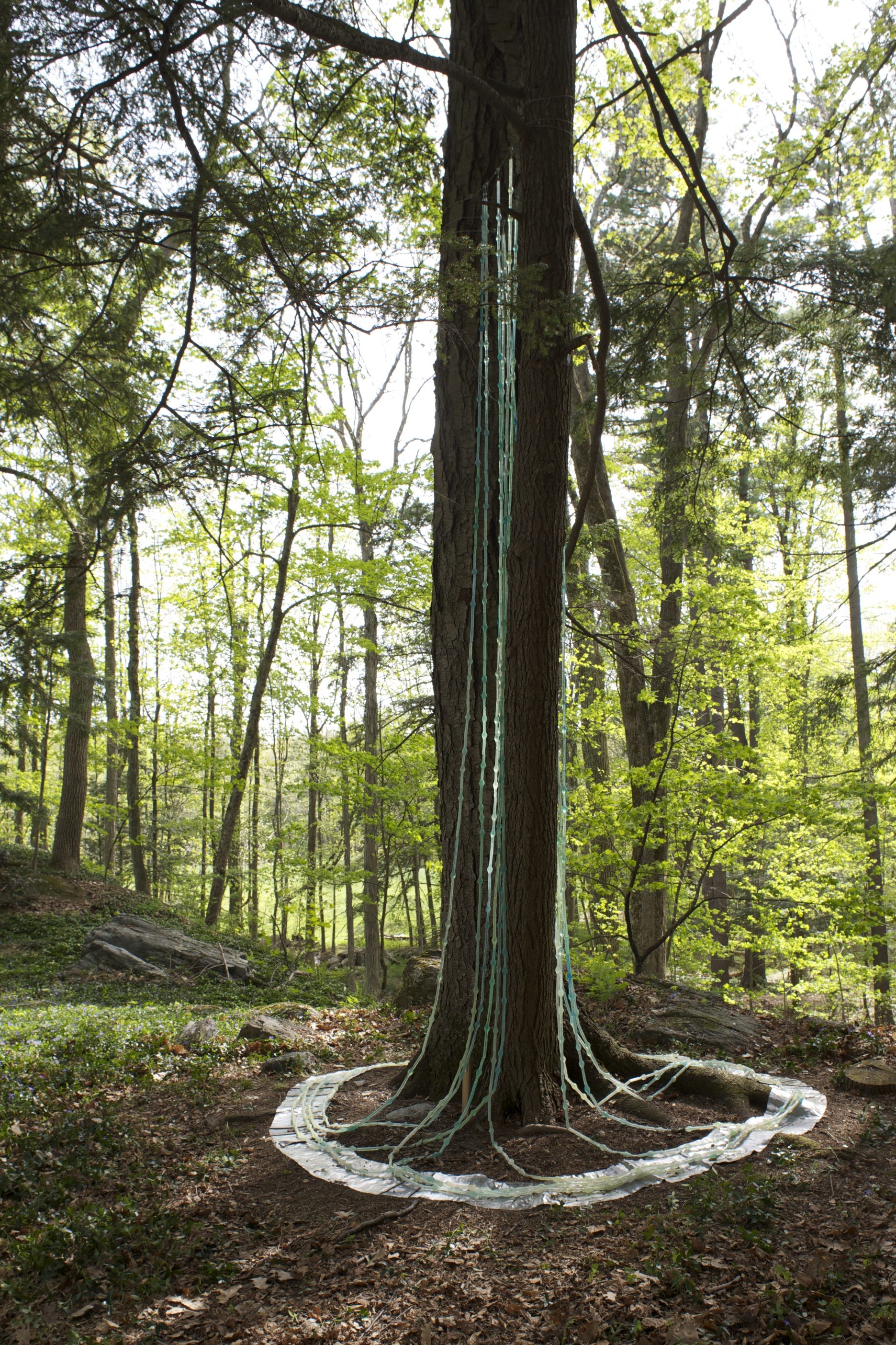 Chesterwood Chain by Marilu Swett, #11 on the walking map