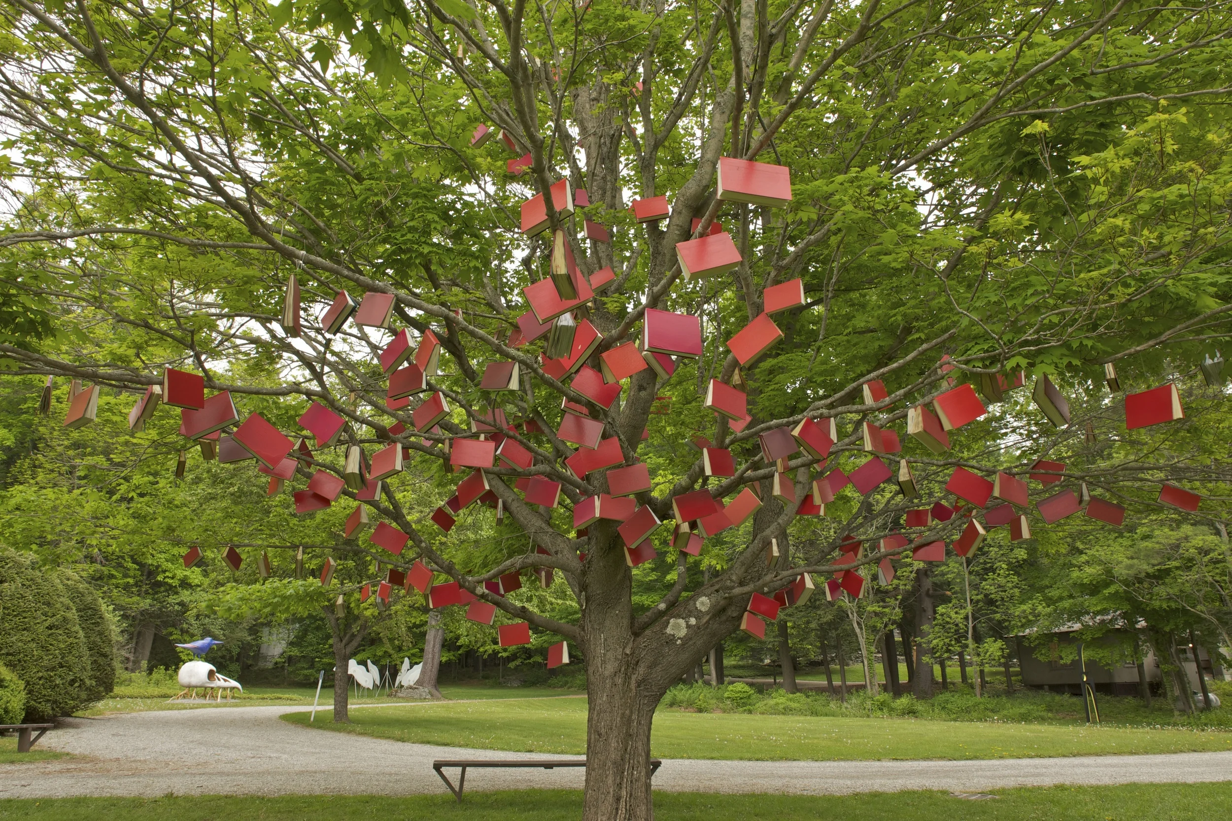 Words and Leaves by Caroline Bagenal, #15 on the walking map
