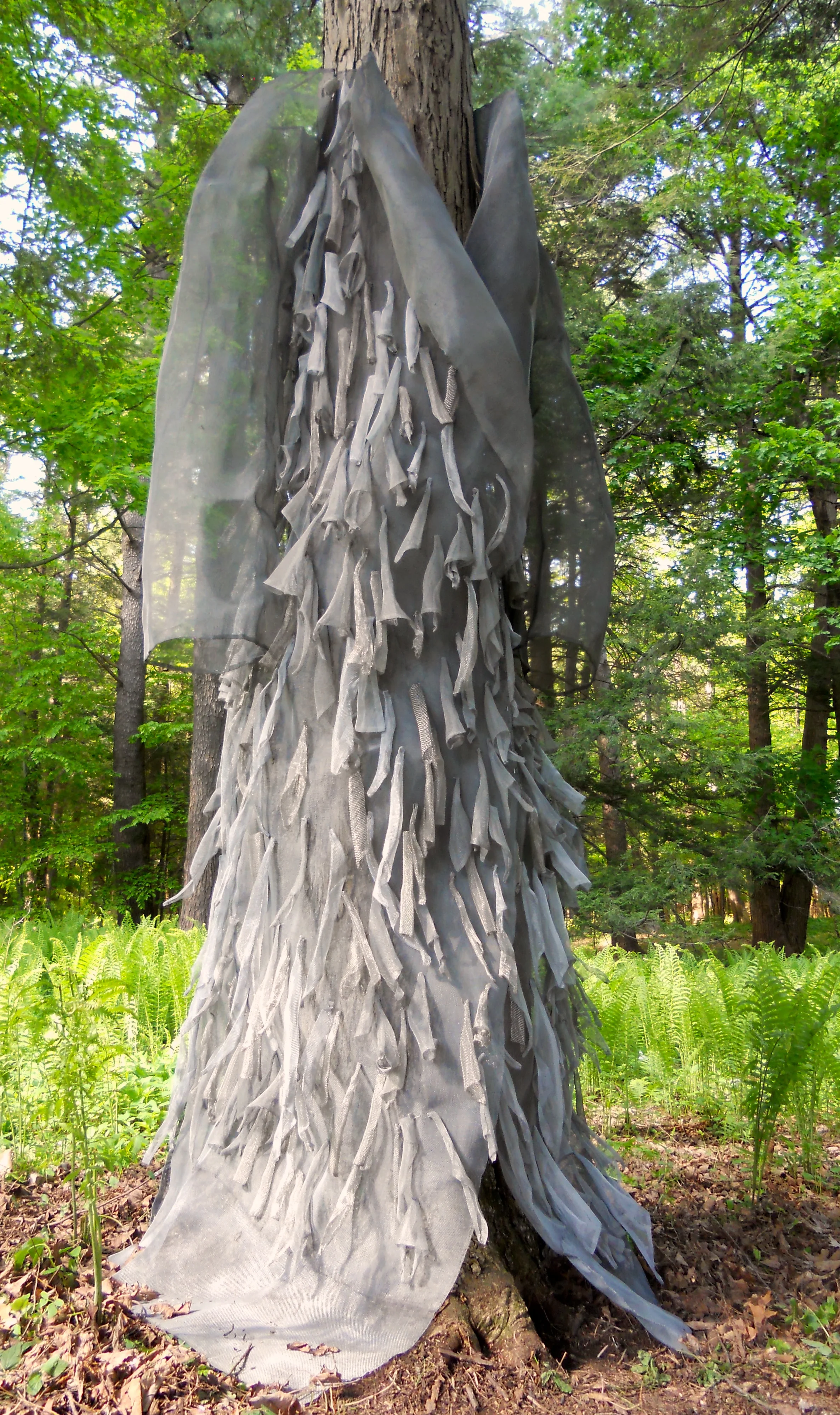 Barkmoore by Leslie Wilcox, #17 on the walking map