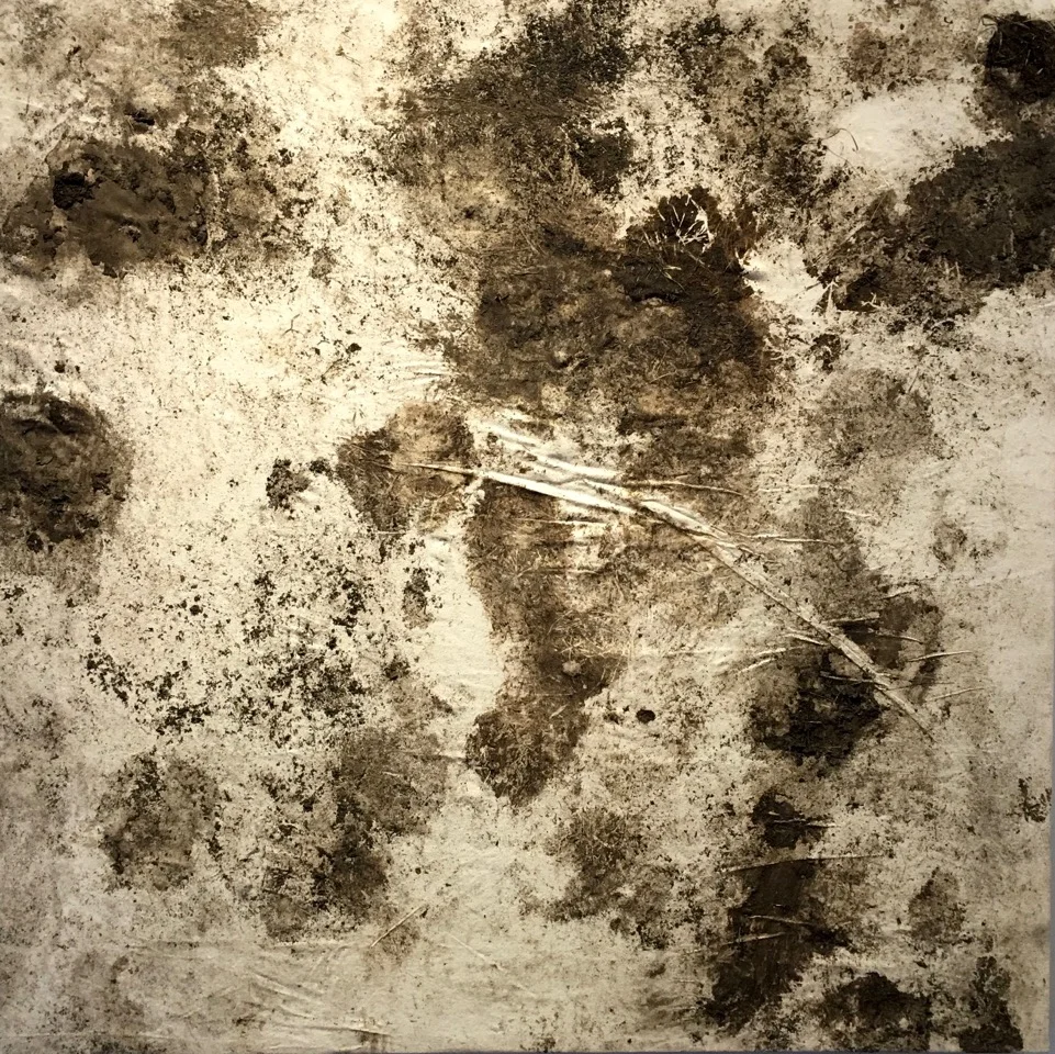 Oxen Print Morning Routine , earth, canvas, sealant, 5x5’, 2015