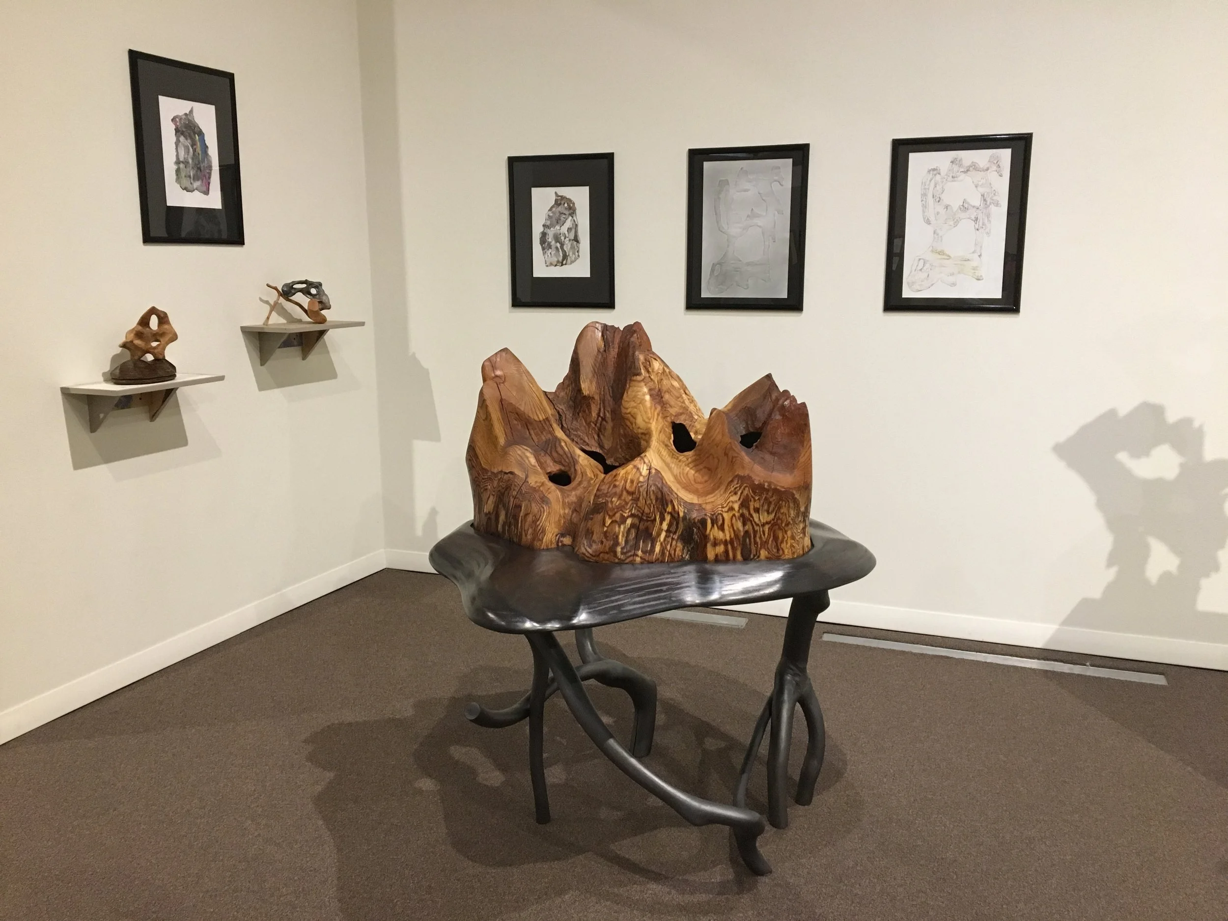 Installation at Art Complex Museum