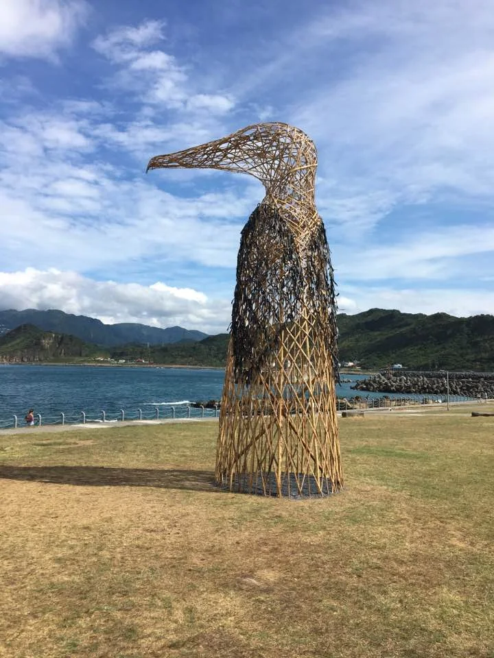 Intrepid Albatross, National Museum of Marie Science and Technology, Keelung Taiwan