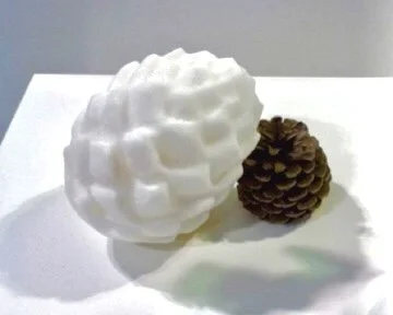 Survival 2013, Salt                                             5"x3.25"