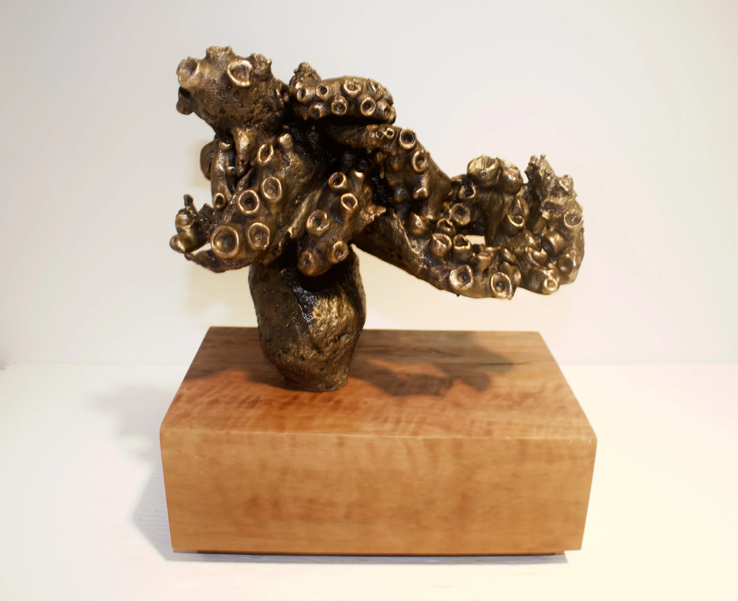 Octopus Study 2015,  Bronze, Wood Base        10" x 4" x 8"h
