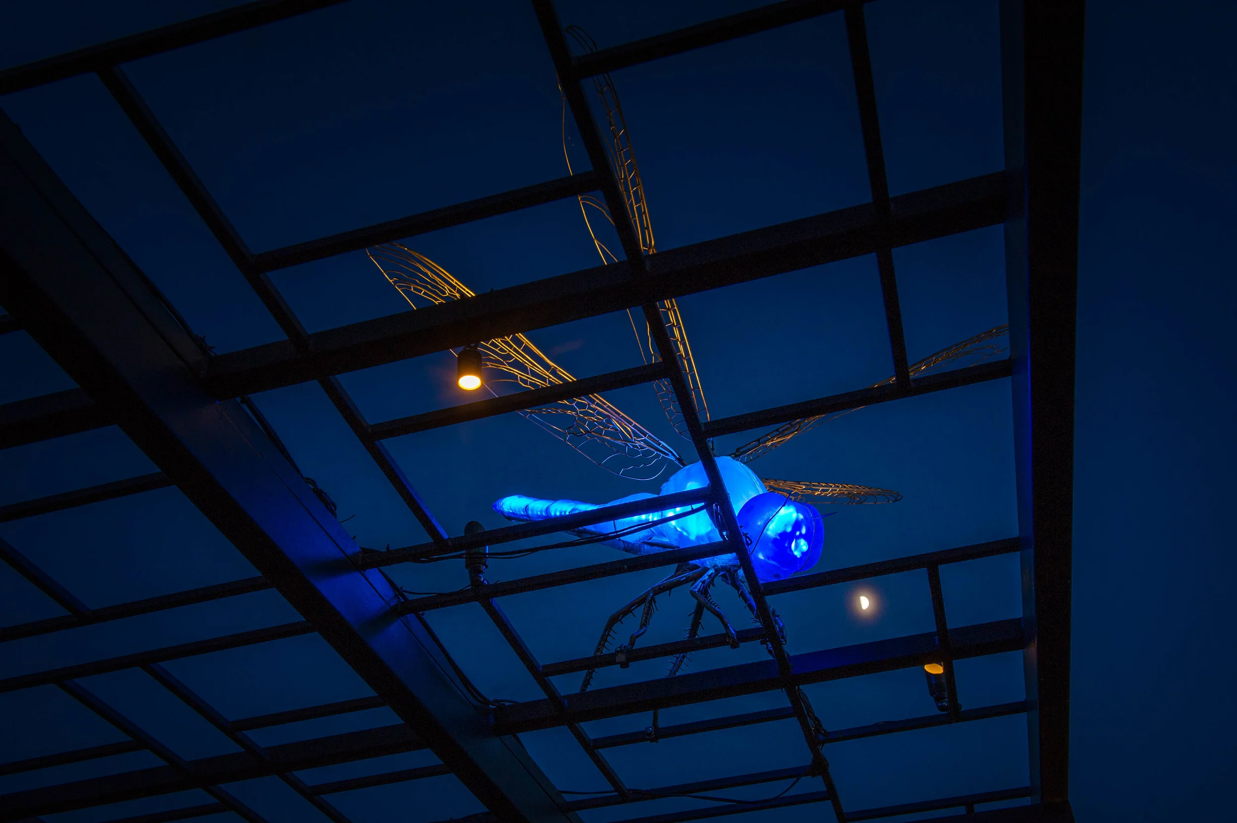 GLEAM-9473.jpg