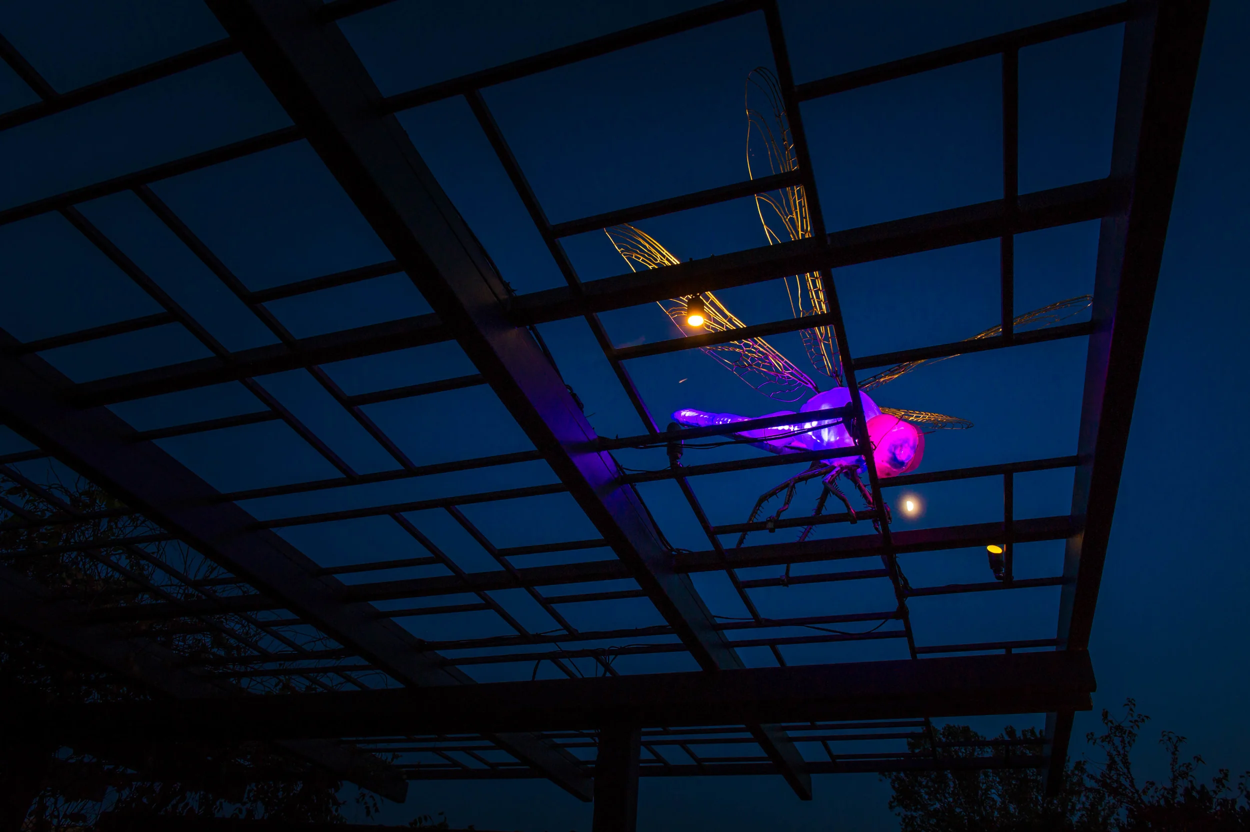 GLEAM-9477.jpg