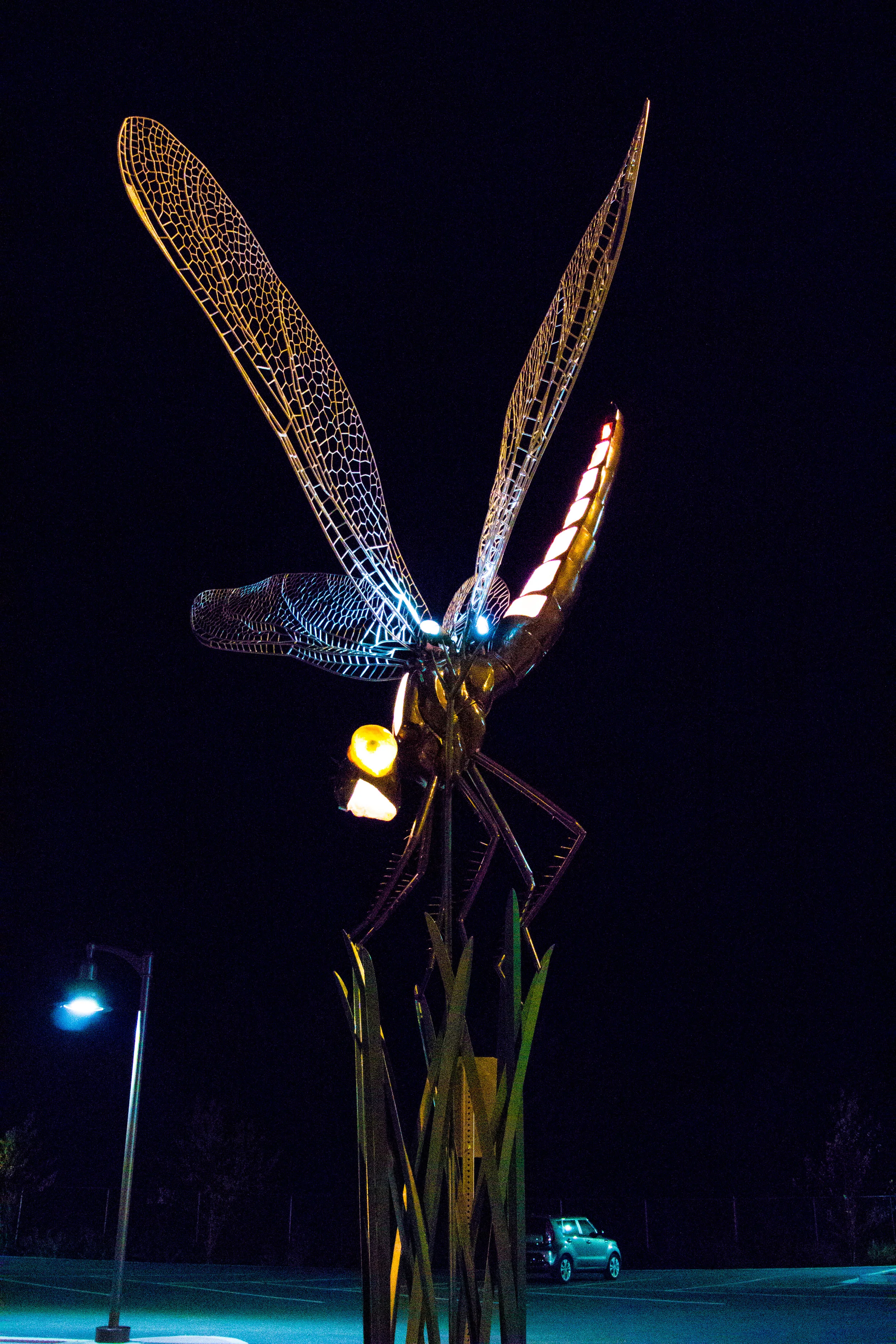 DSC_0142.jpg
