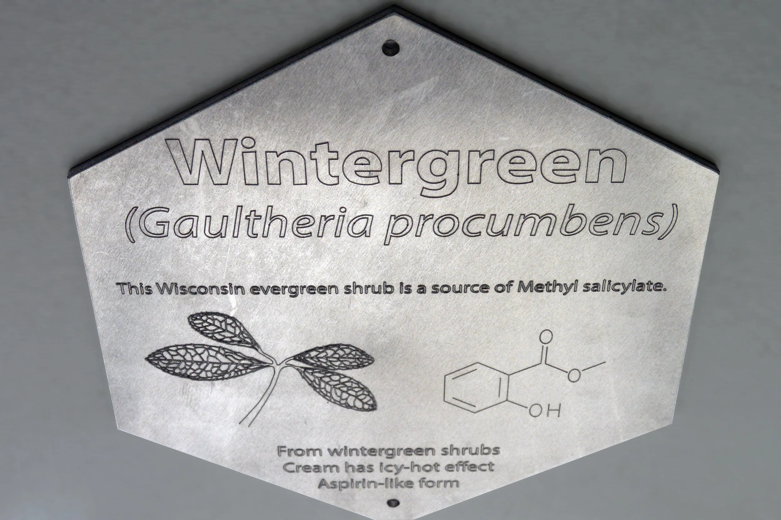 NA Plaque 3 Wintergreen.jpg